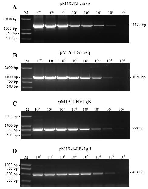 Viruses 18 00471 g003