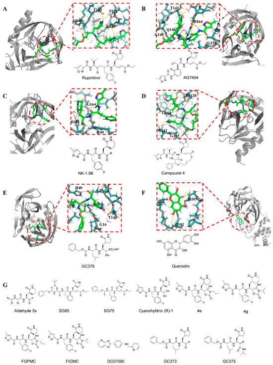 Advances in Antiviral Drug Development Targeting Enteroviruses