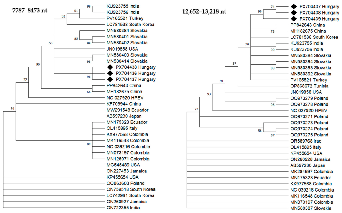 Viruses 18 00481 g005