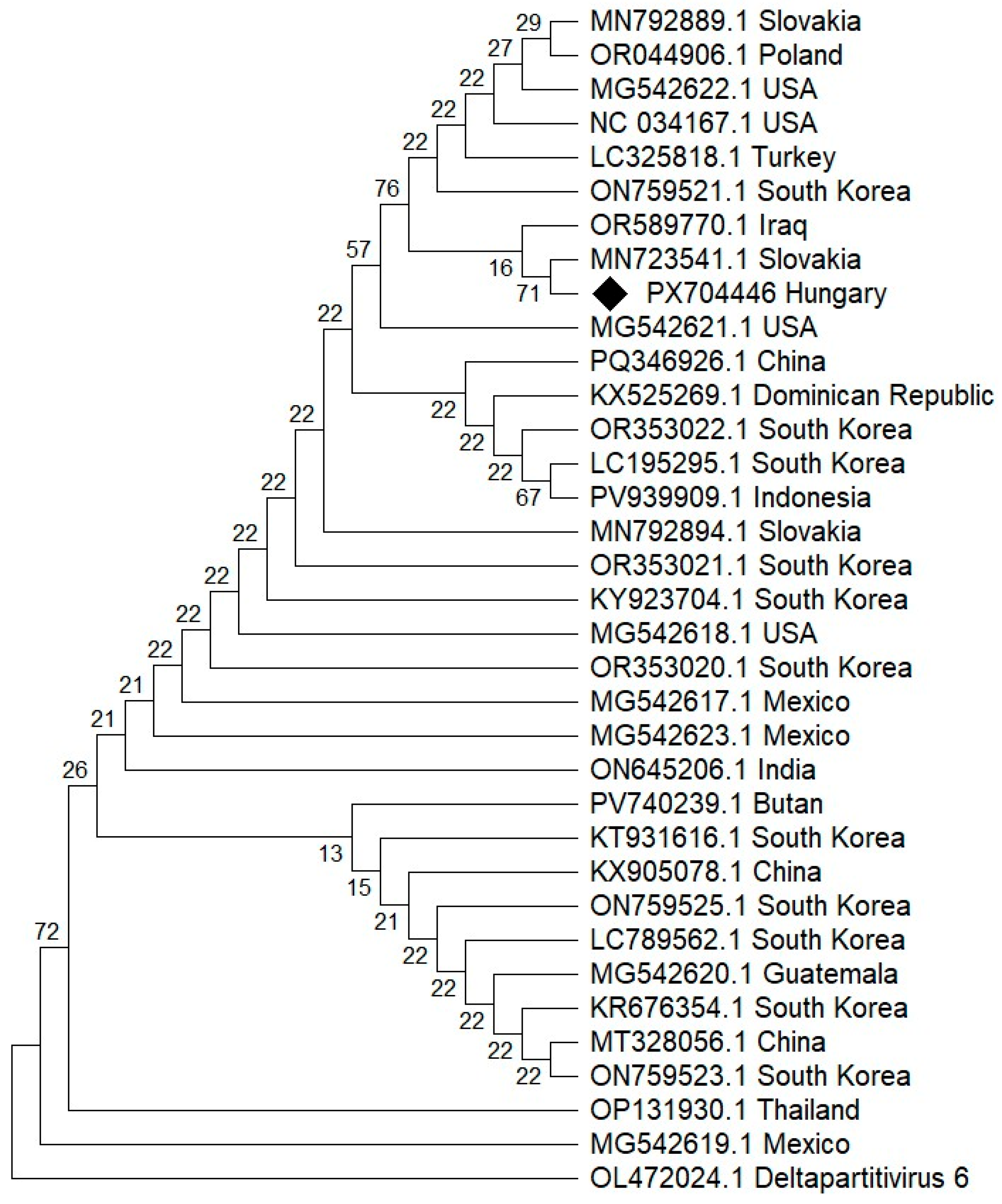 Viruses 18 00481 g006