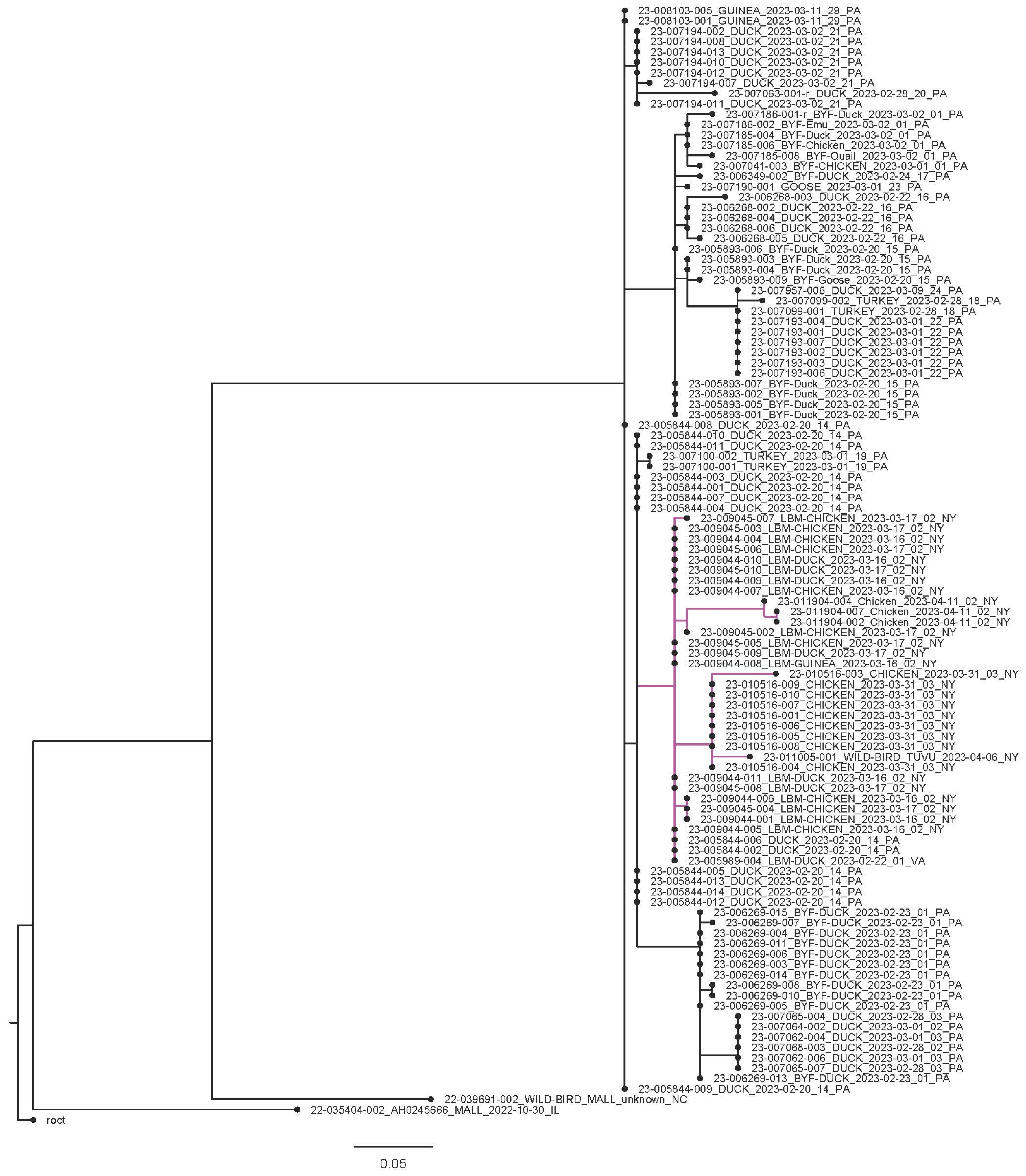 Genotype Diversity of Highly Pathogenic Avian Influenza H5N1 Clade 2.3. ...