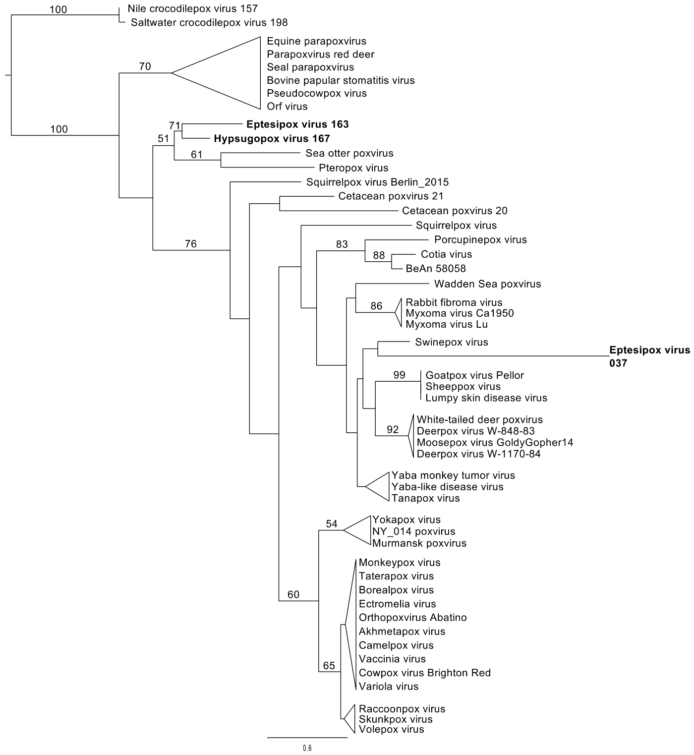 Viruses 18 00706 g008
