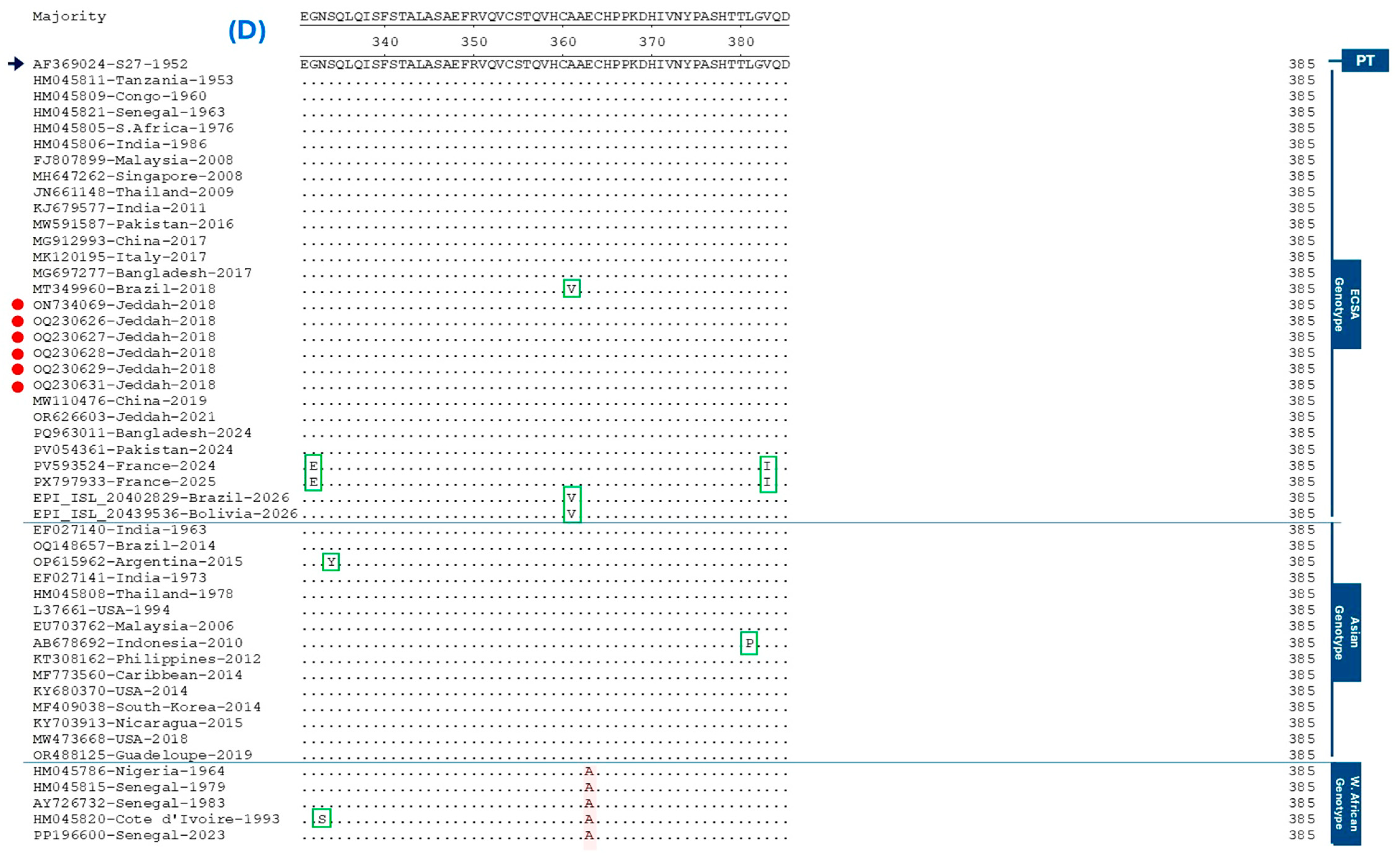 Viruses 18 00791 g002d