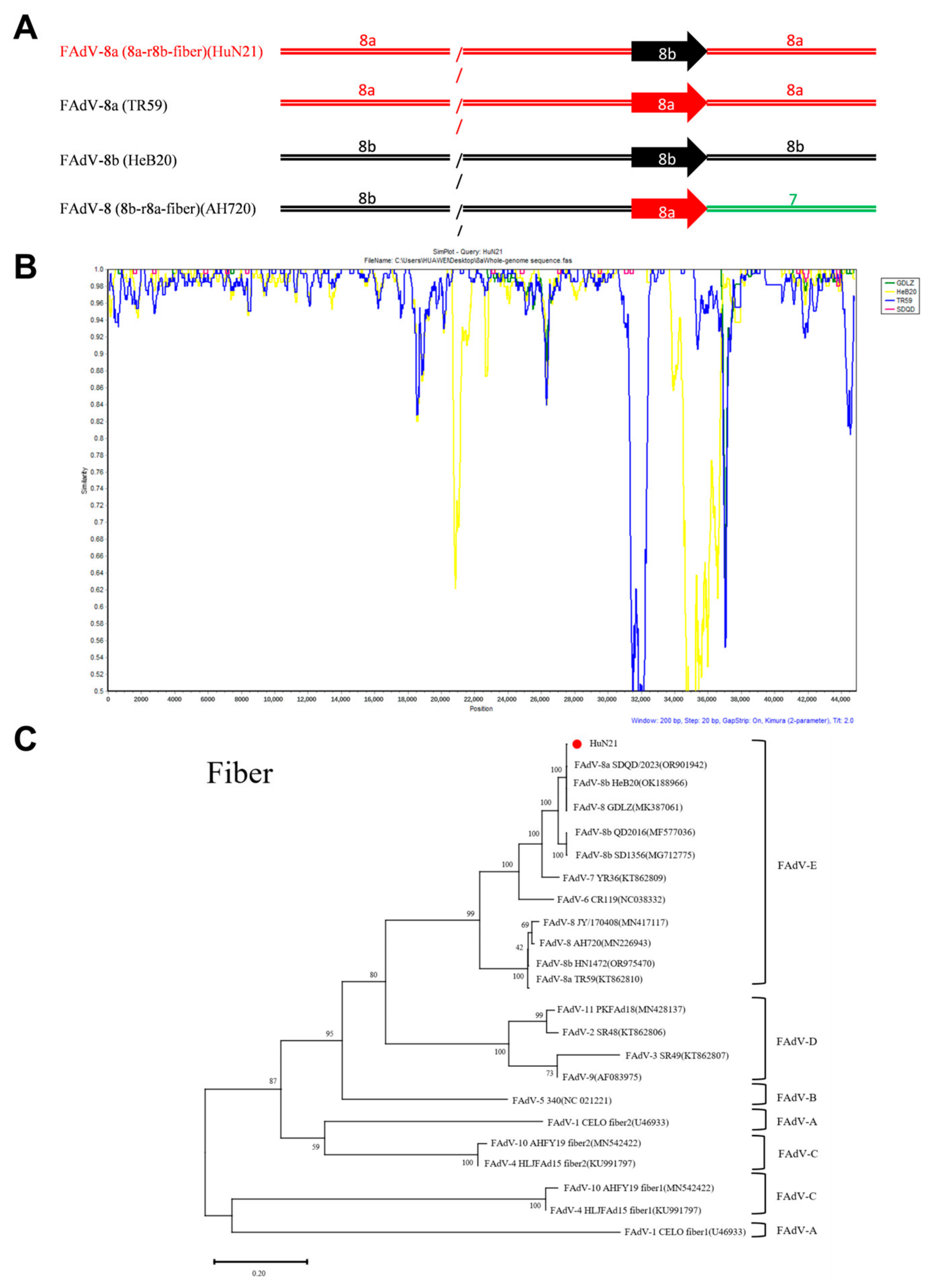 Viruses 18 00847 g003