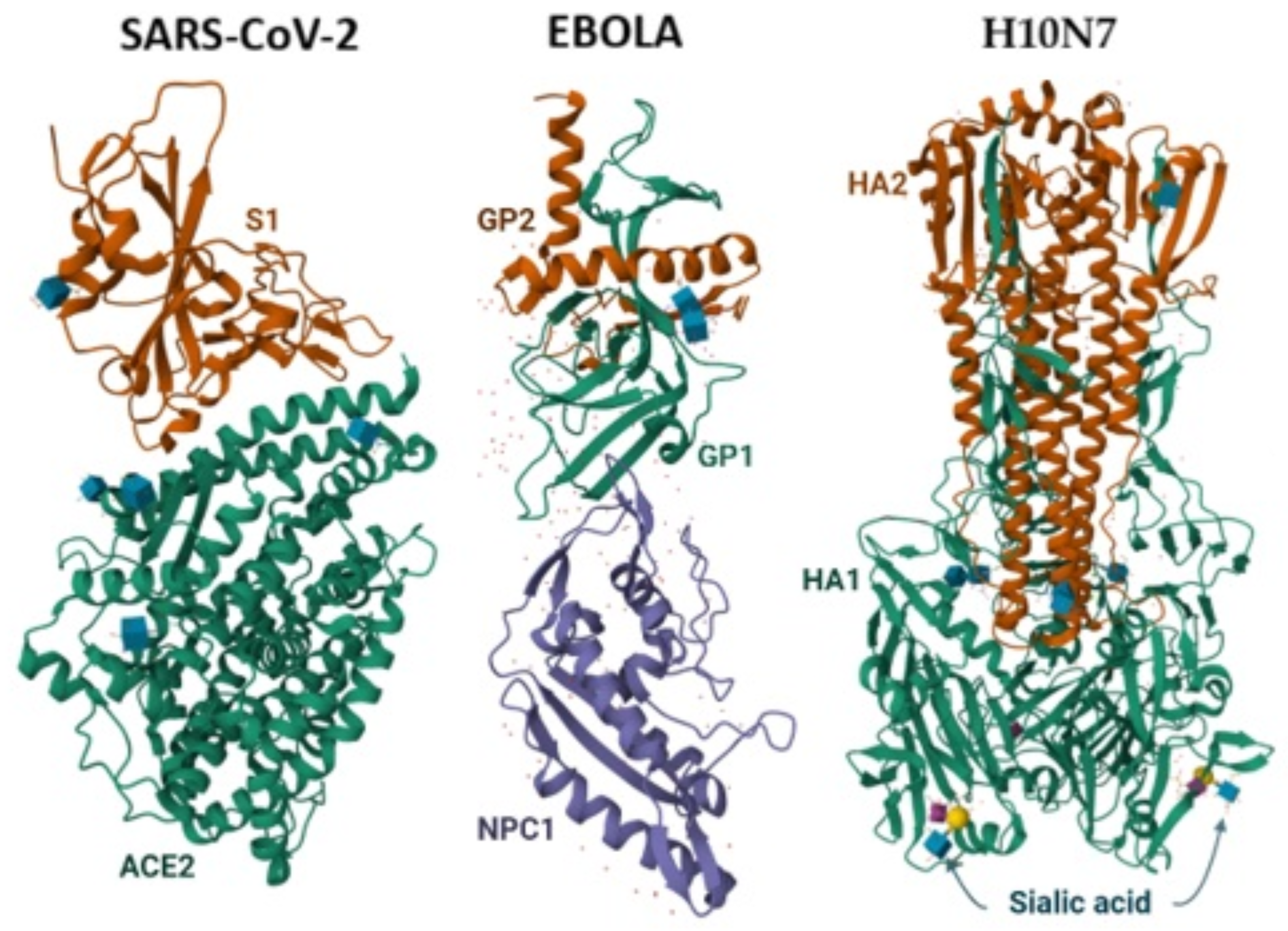 Viruses 18 00912 g002 Viruses 18 00912 g002