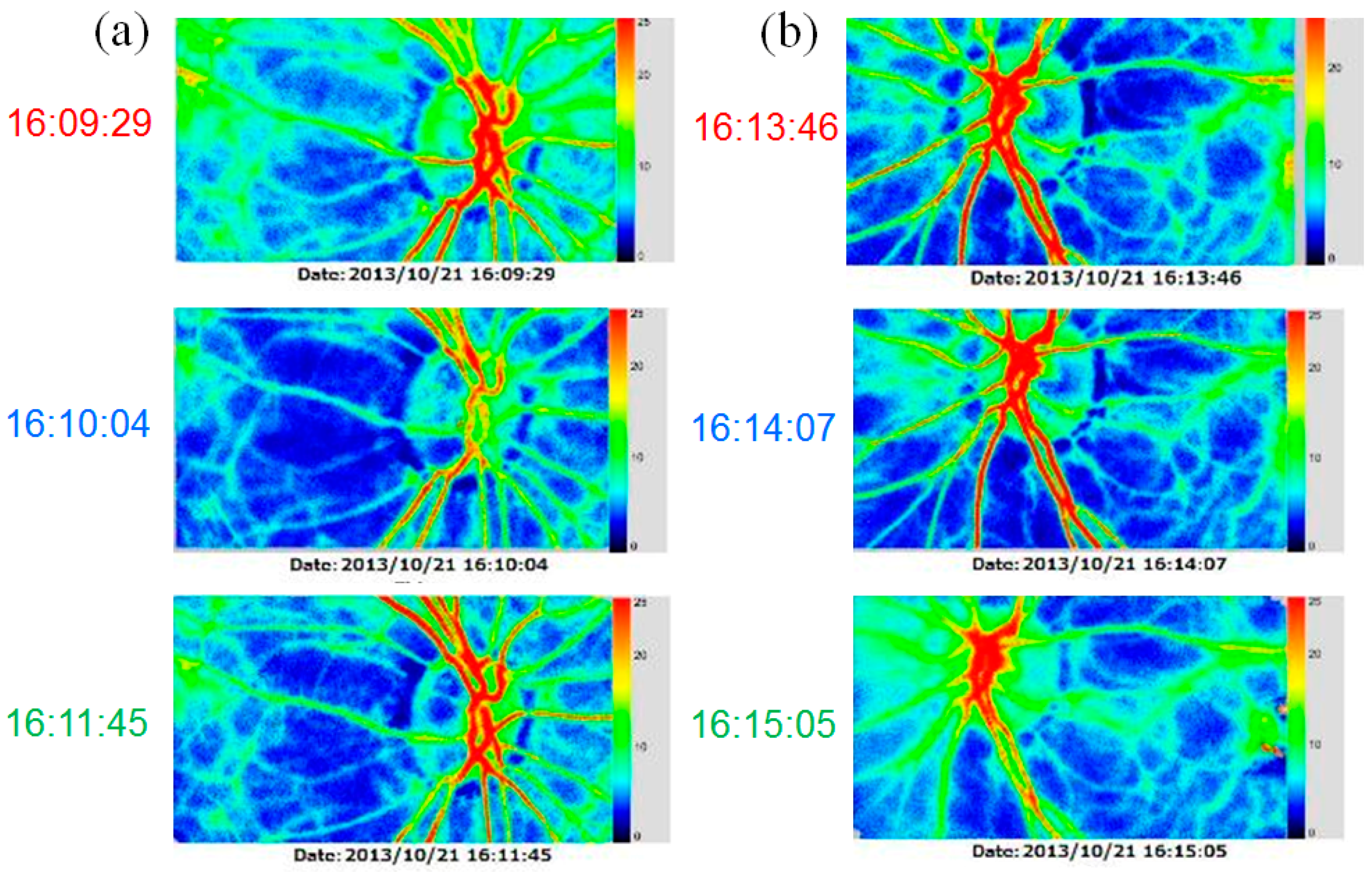 Vision 01 00005 g003