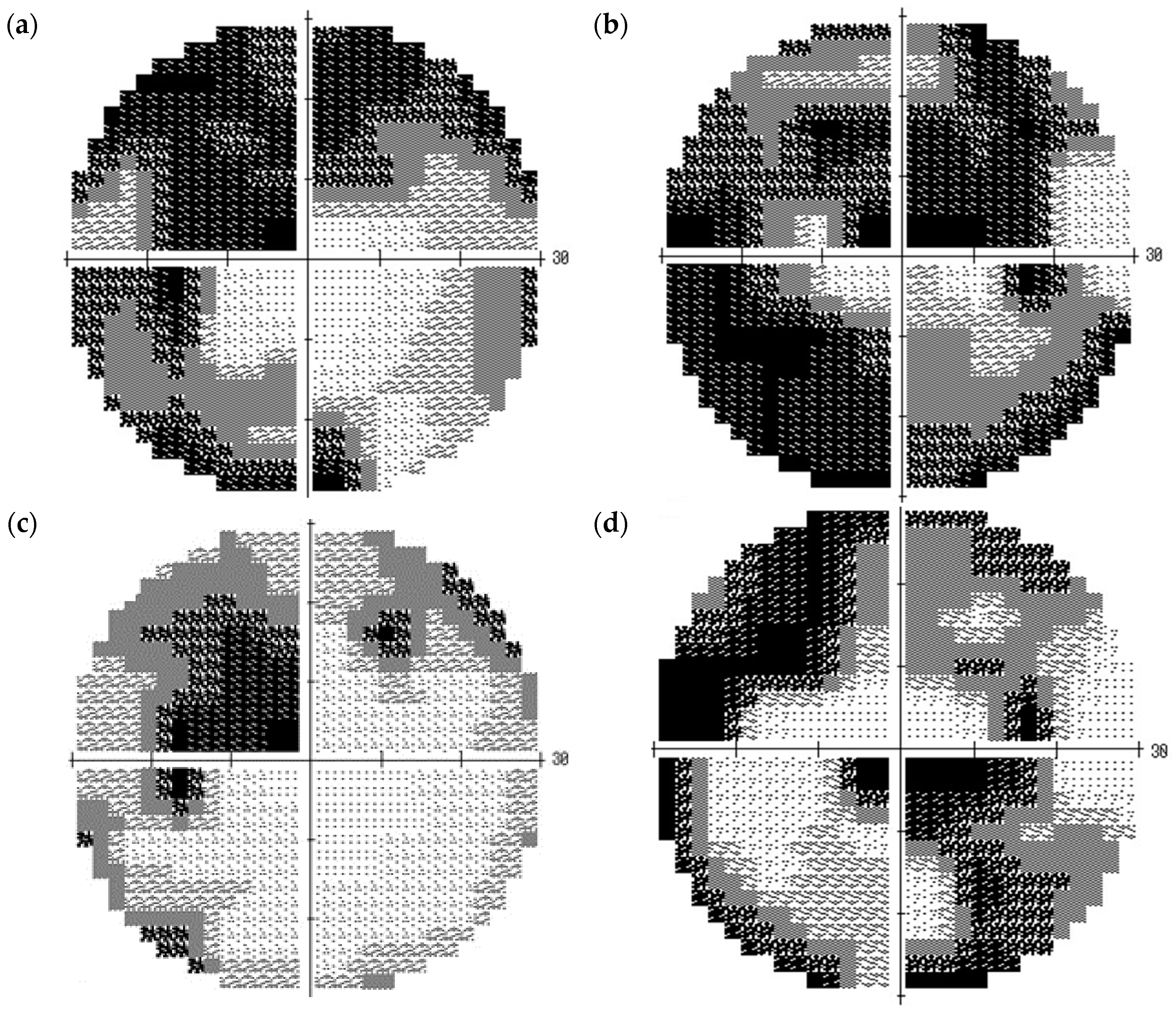 Vision 01 00005 g005a