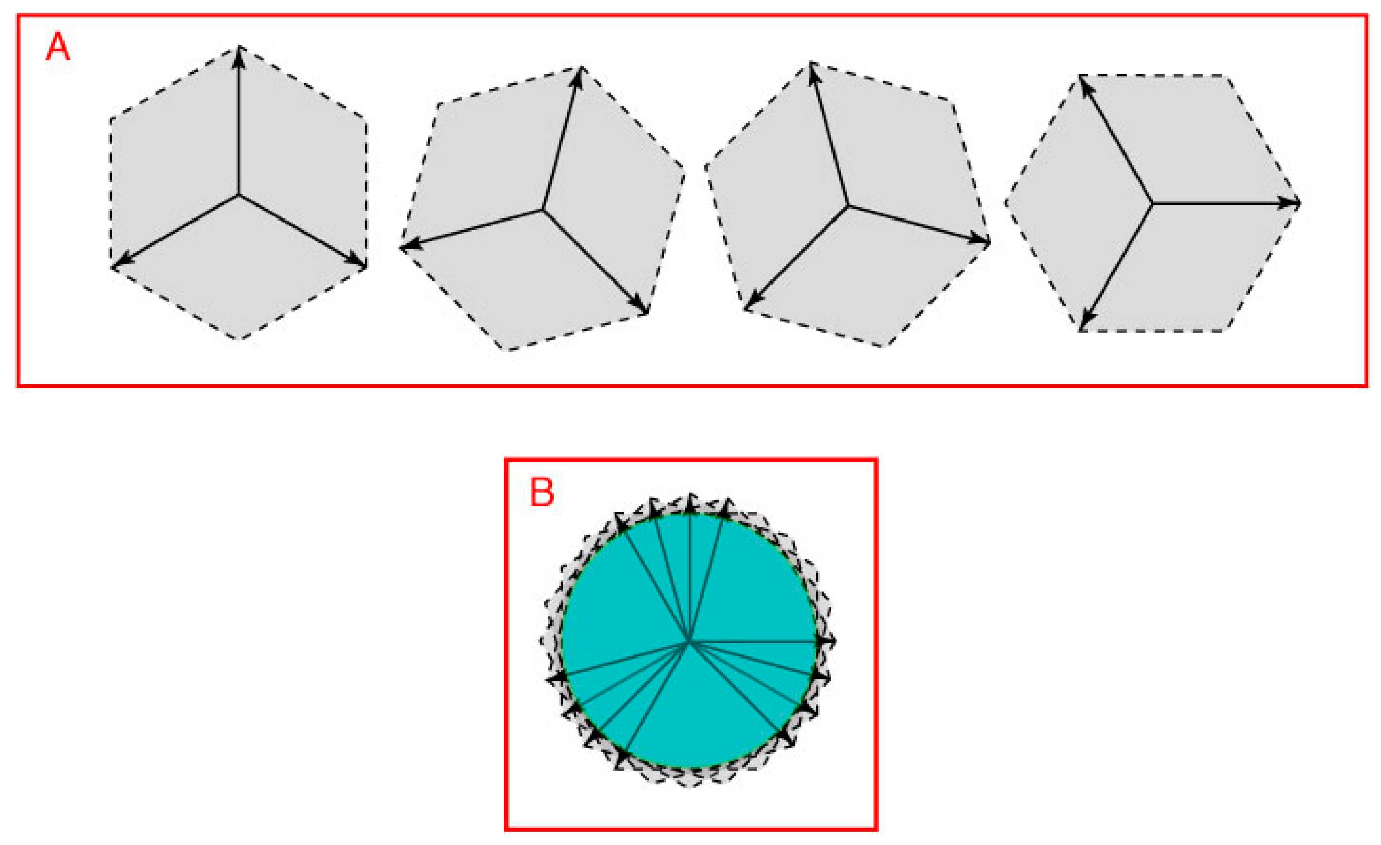 Vision 01 00009 g007 550