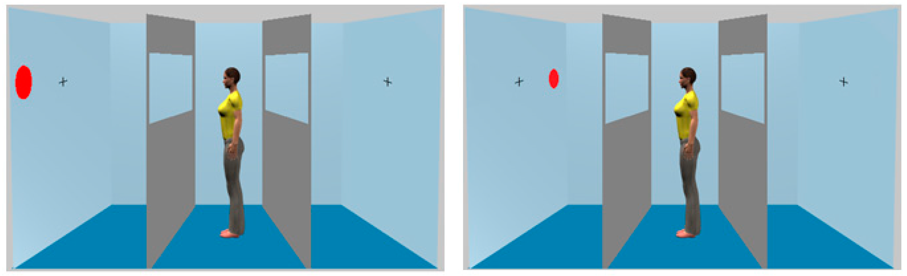 Vision 01 00017 g003 550