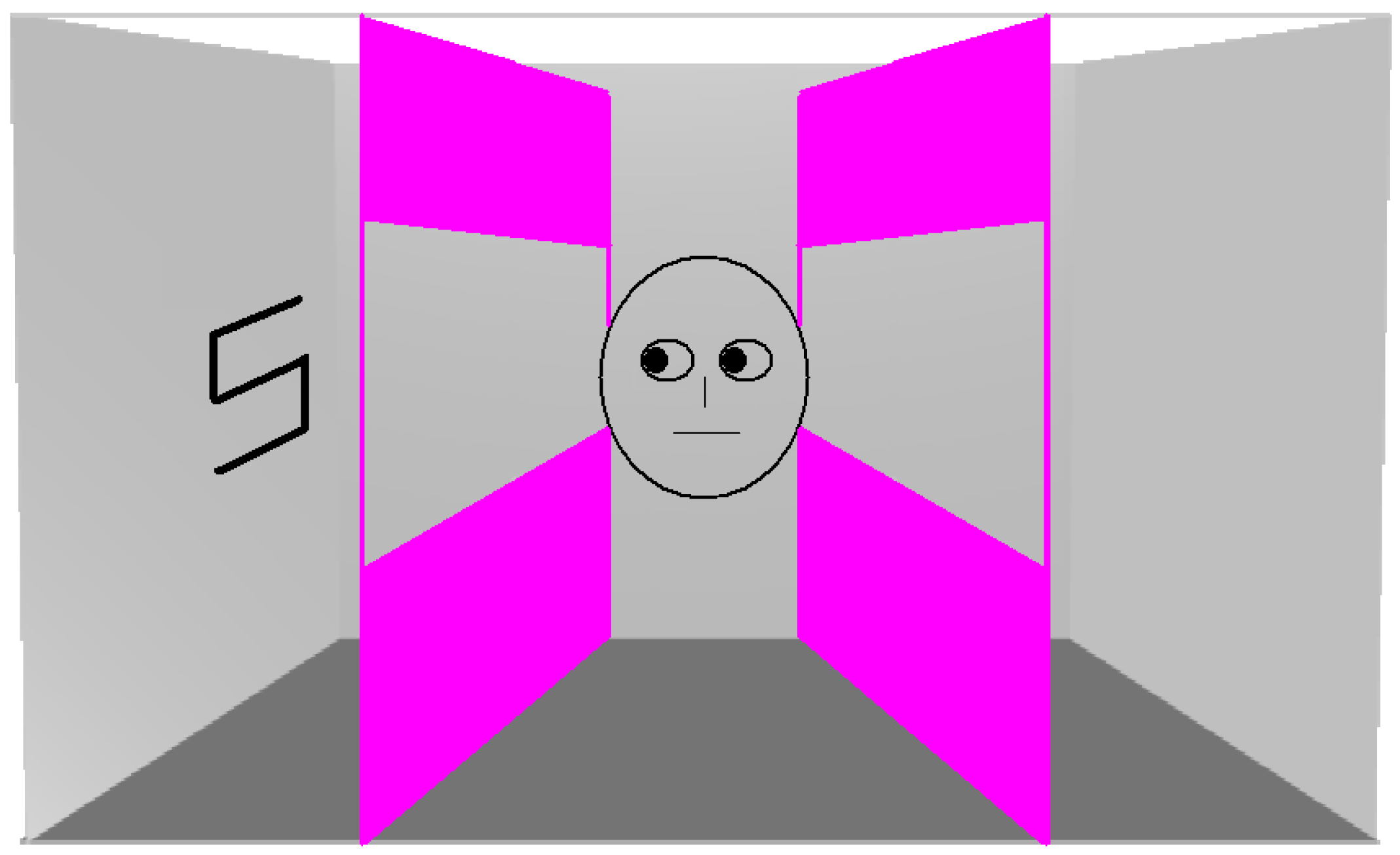 Vision 01 00017 g005 550