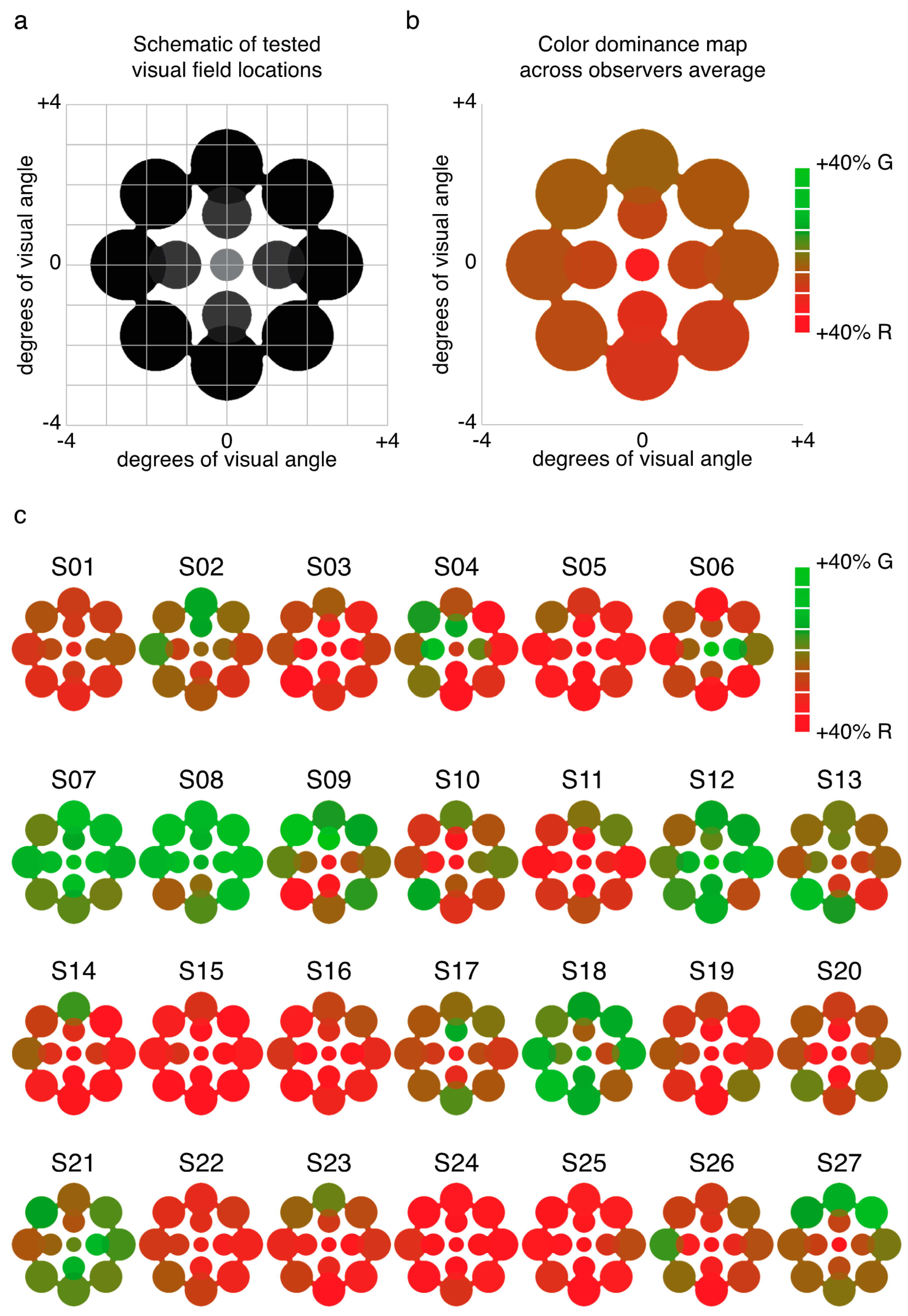 Vision 01 00018 g005