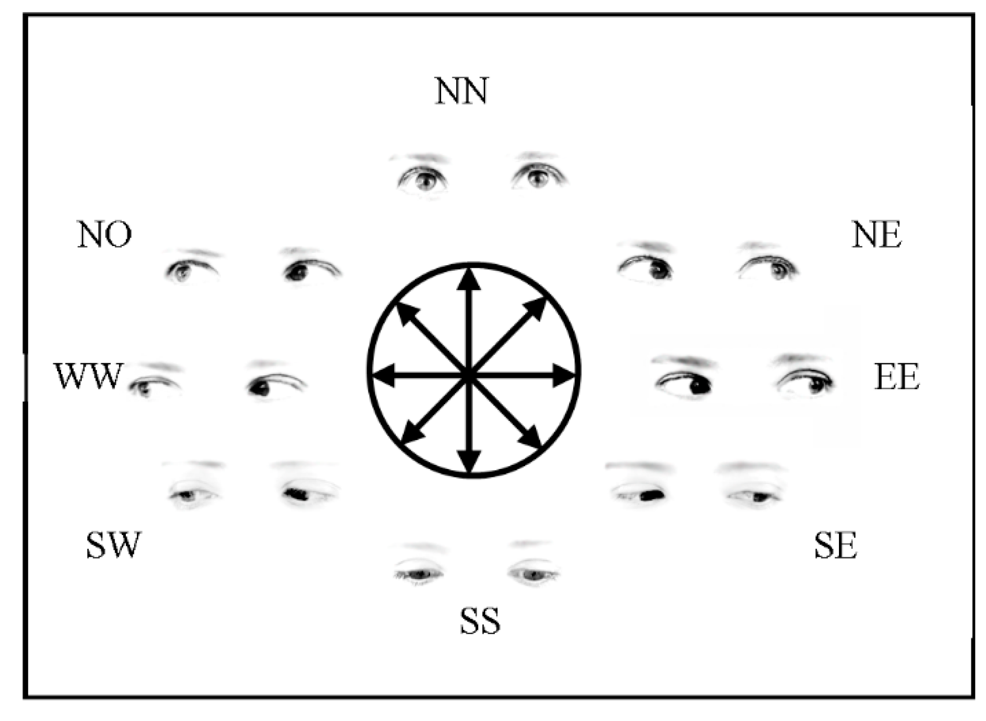Vision 01 00021 g007