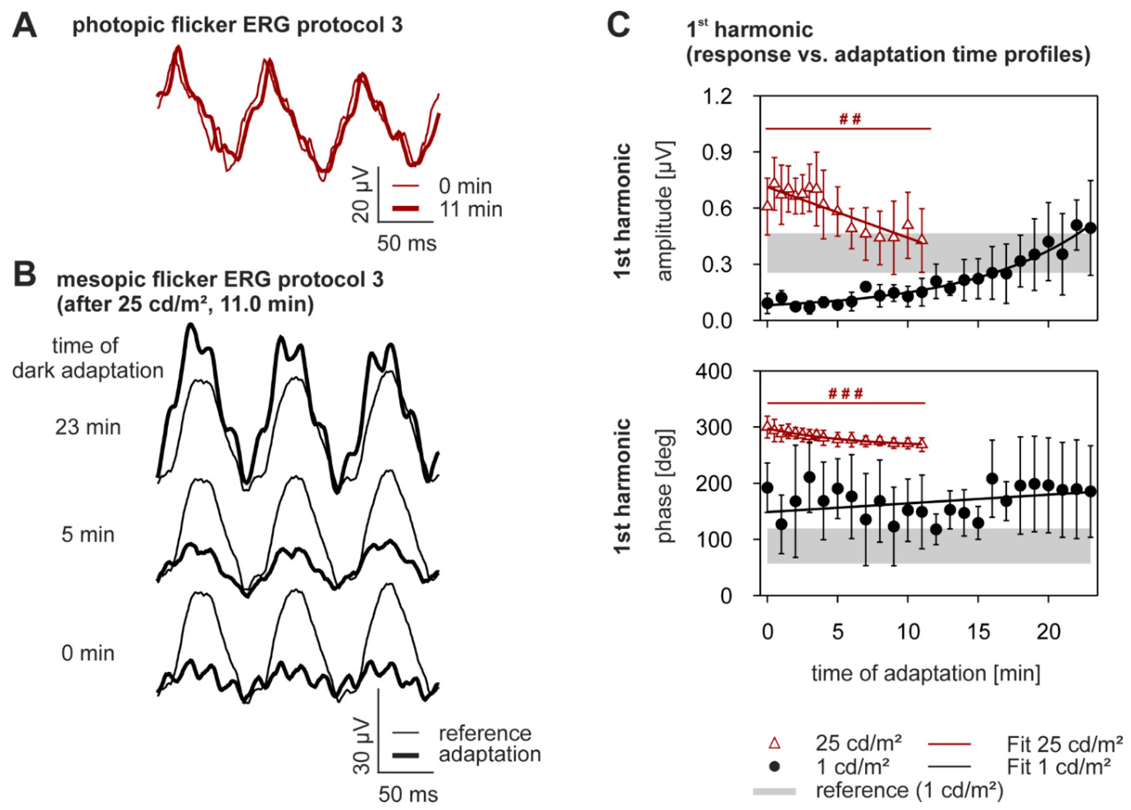 Vision 01 00023 g005