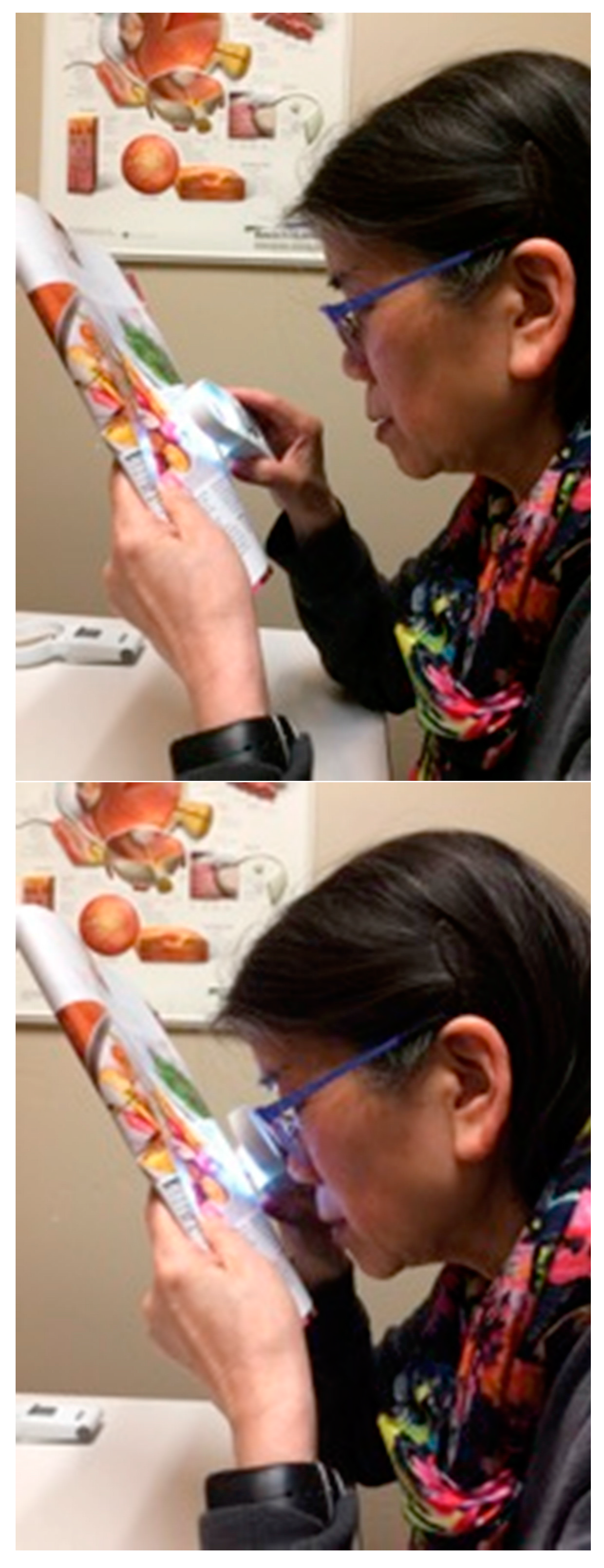 Vision 02 00004 g011