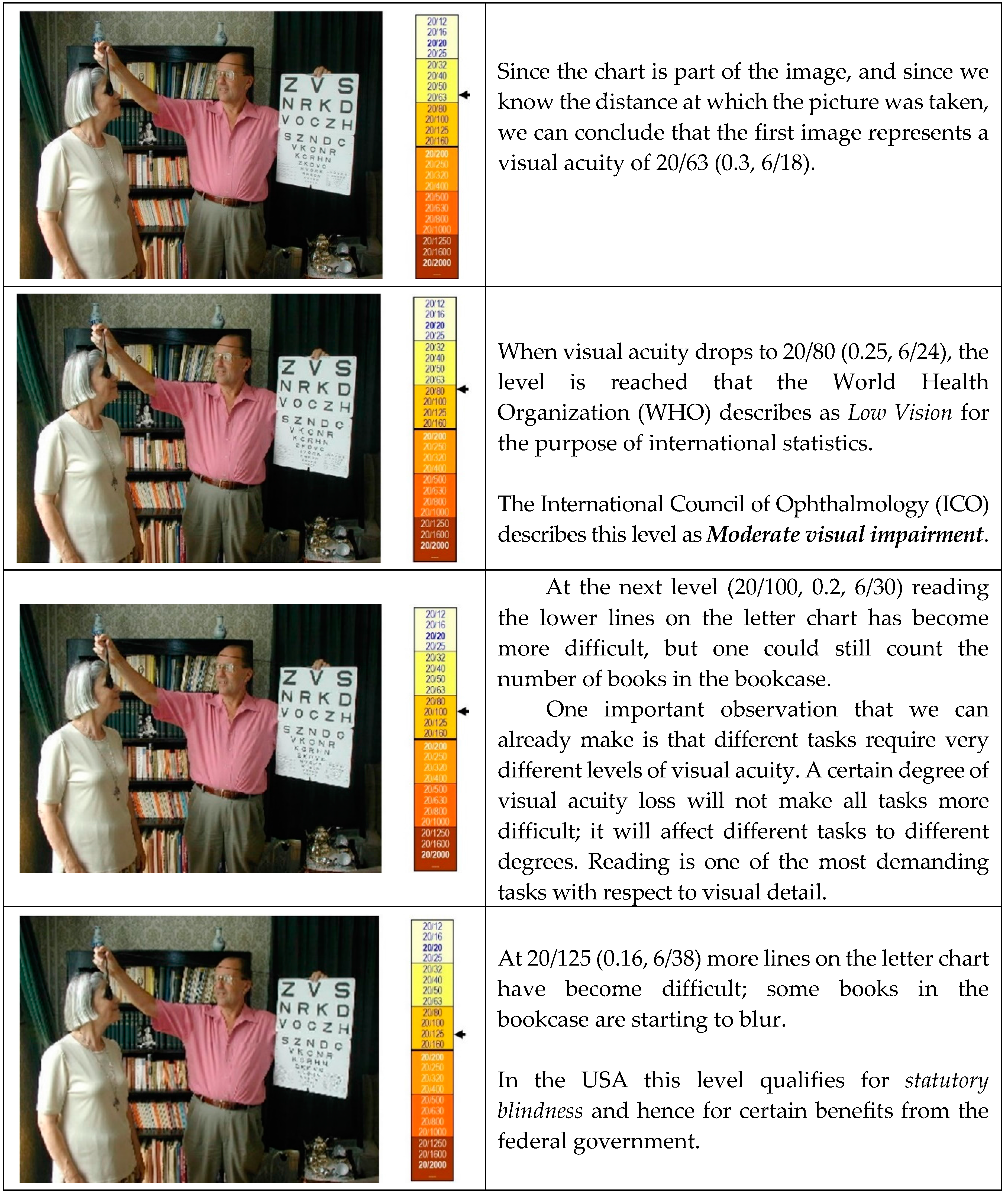 Vision Free Full Text Vision Rehabilitation Is Part Of Amd Care