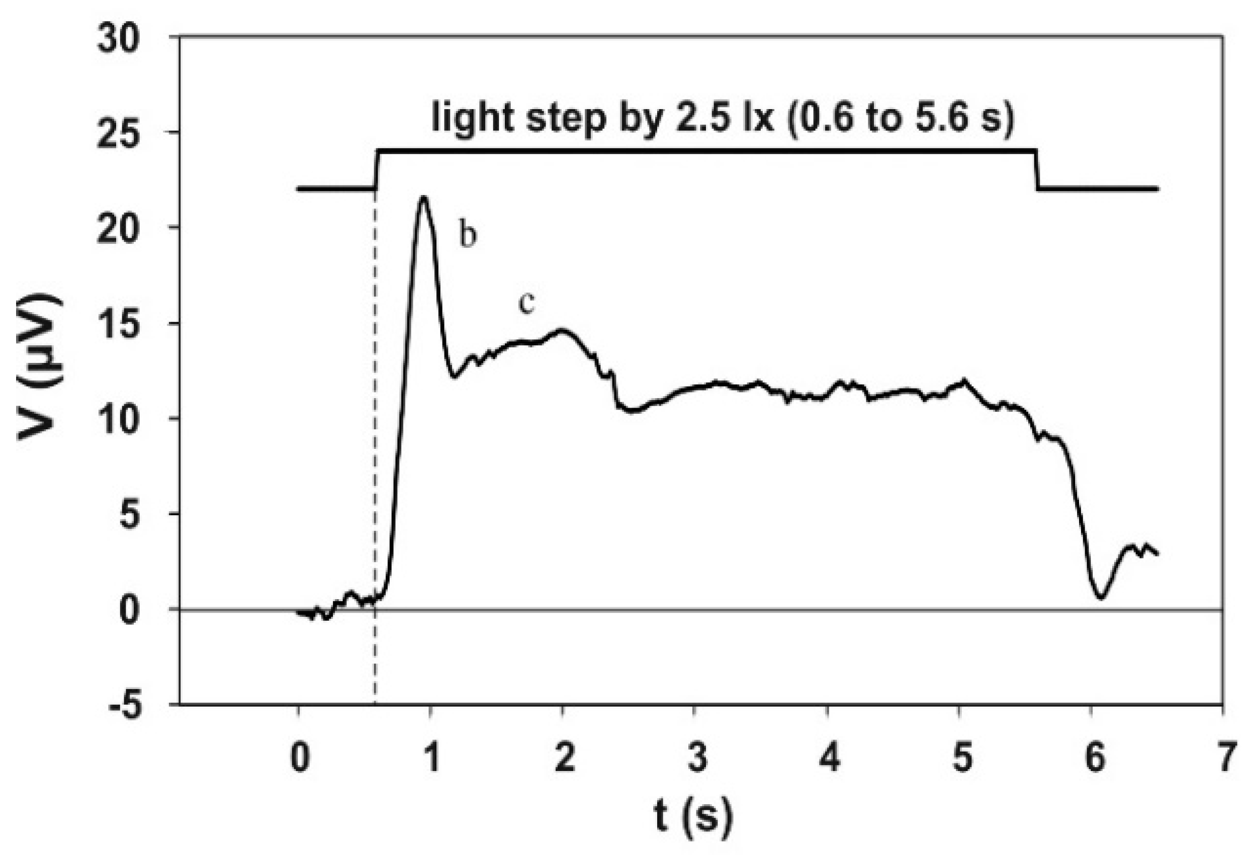 Vision 02 00010 g006
