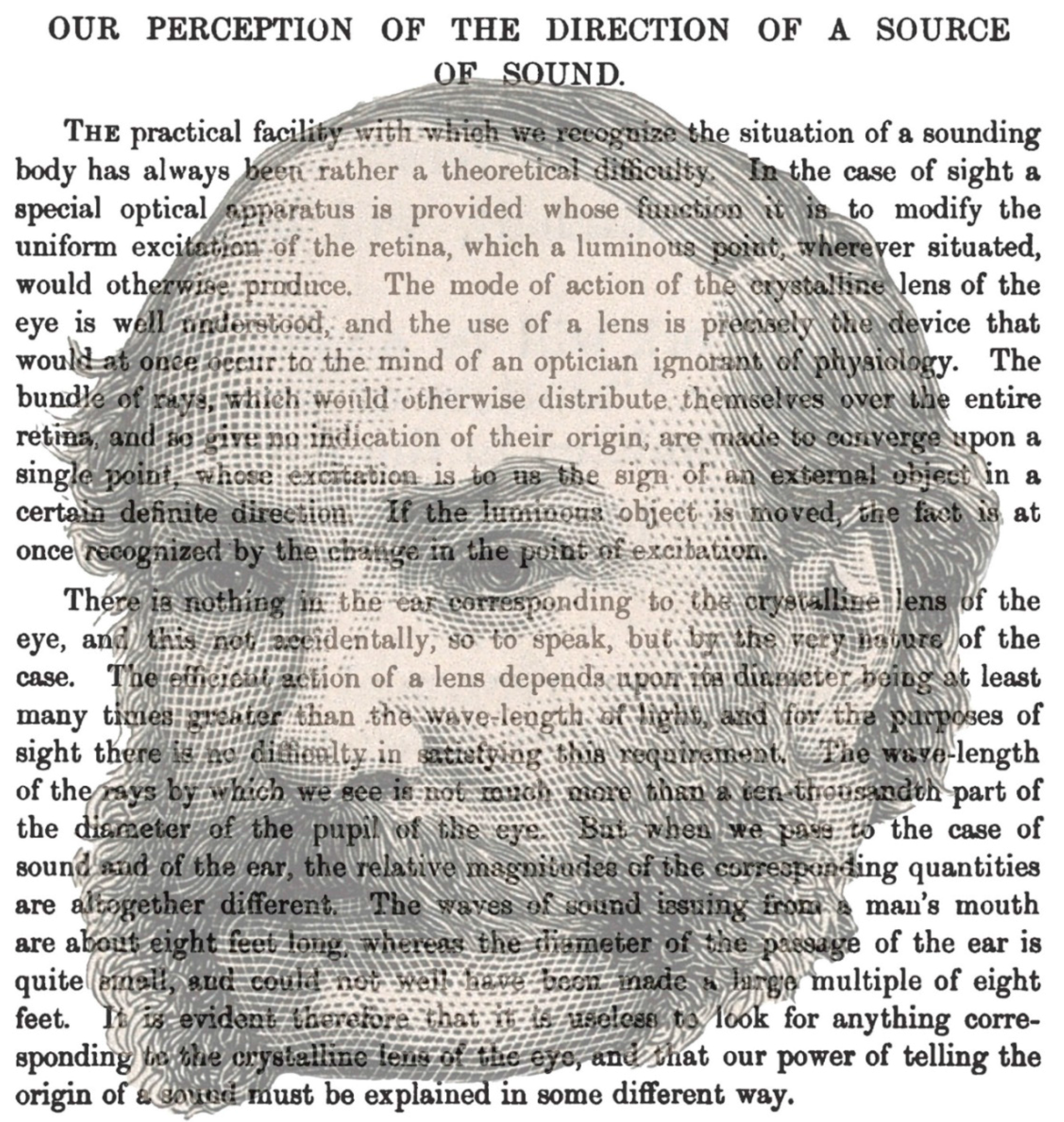 Vision 02 00013 g002