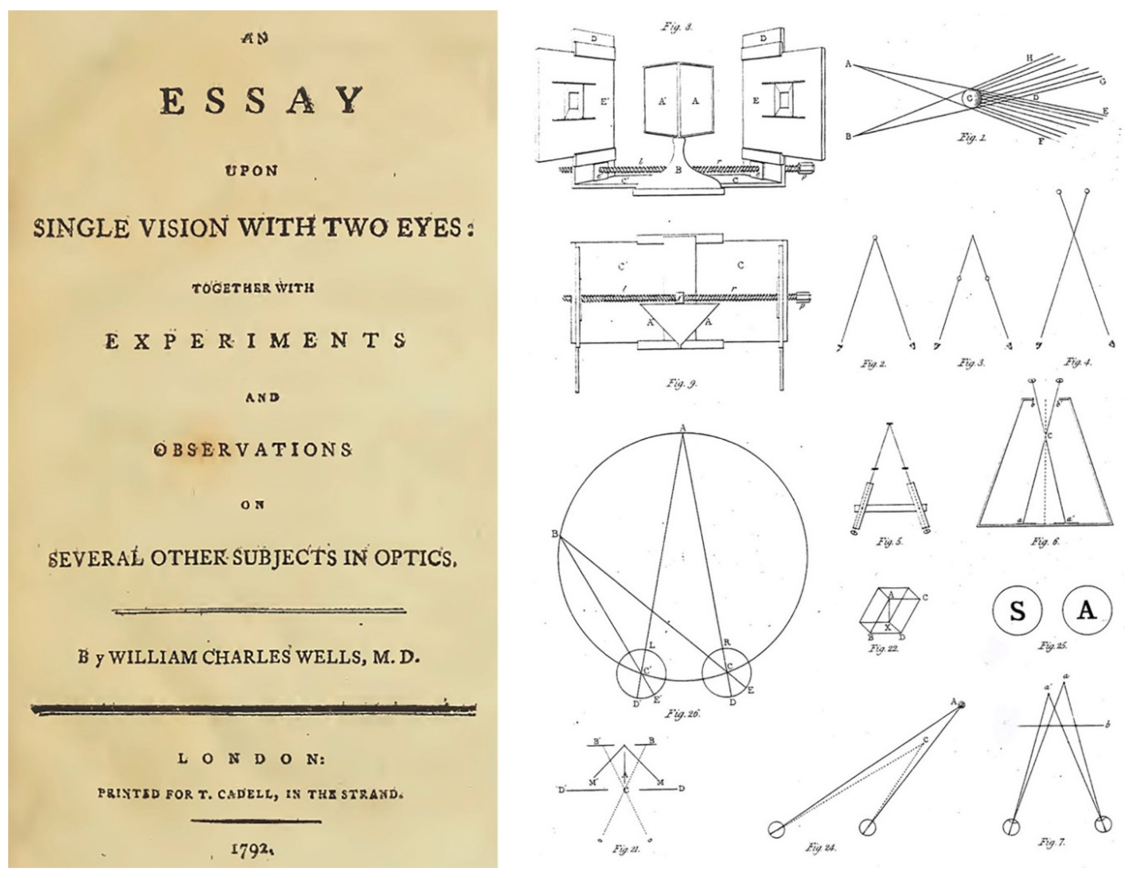 Vision 02 00013 g003