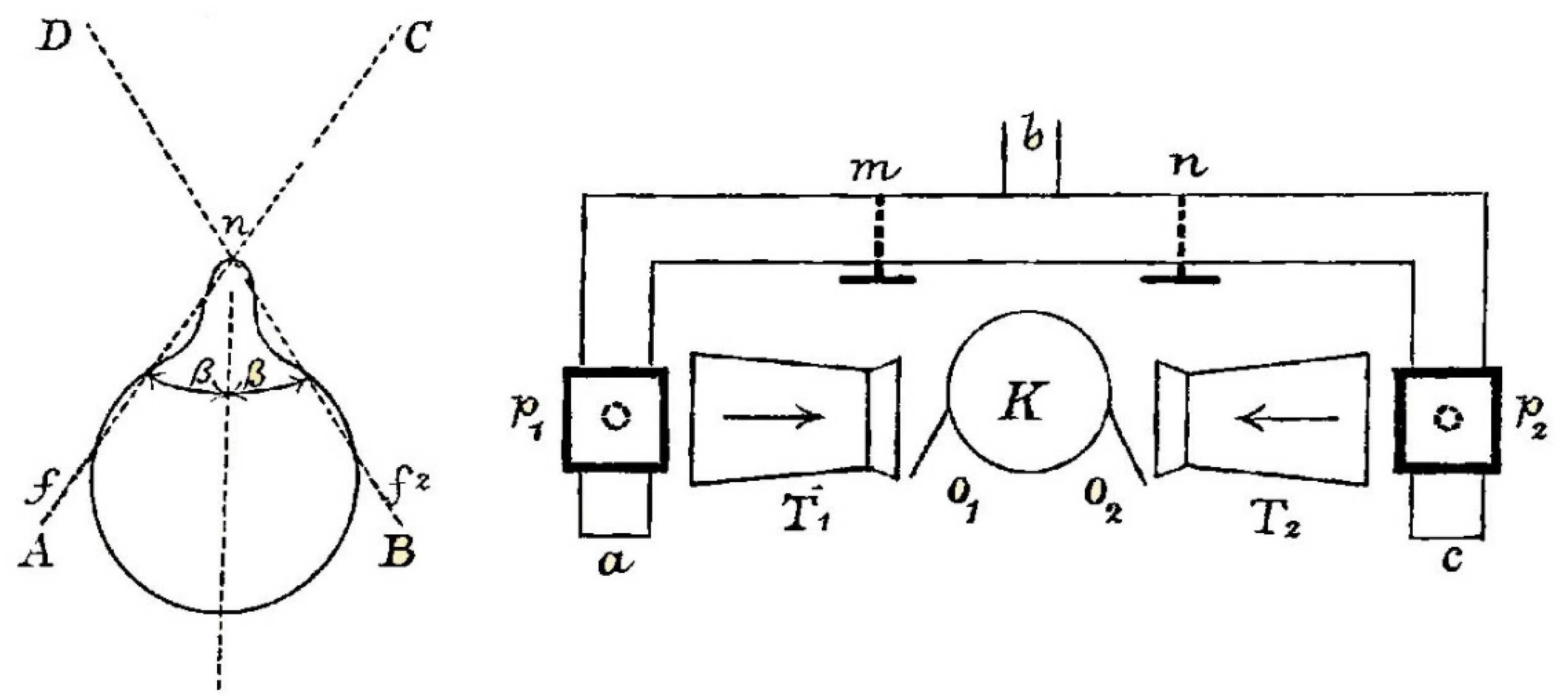 Vision 02 00013 g009