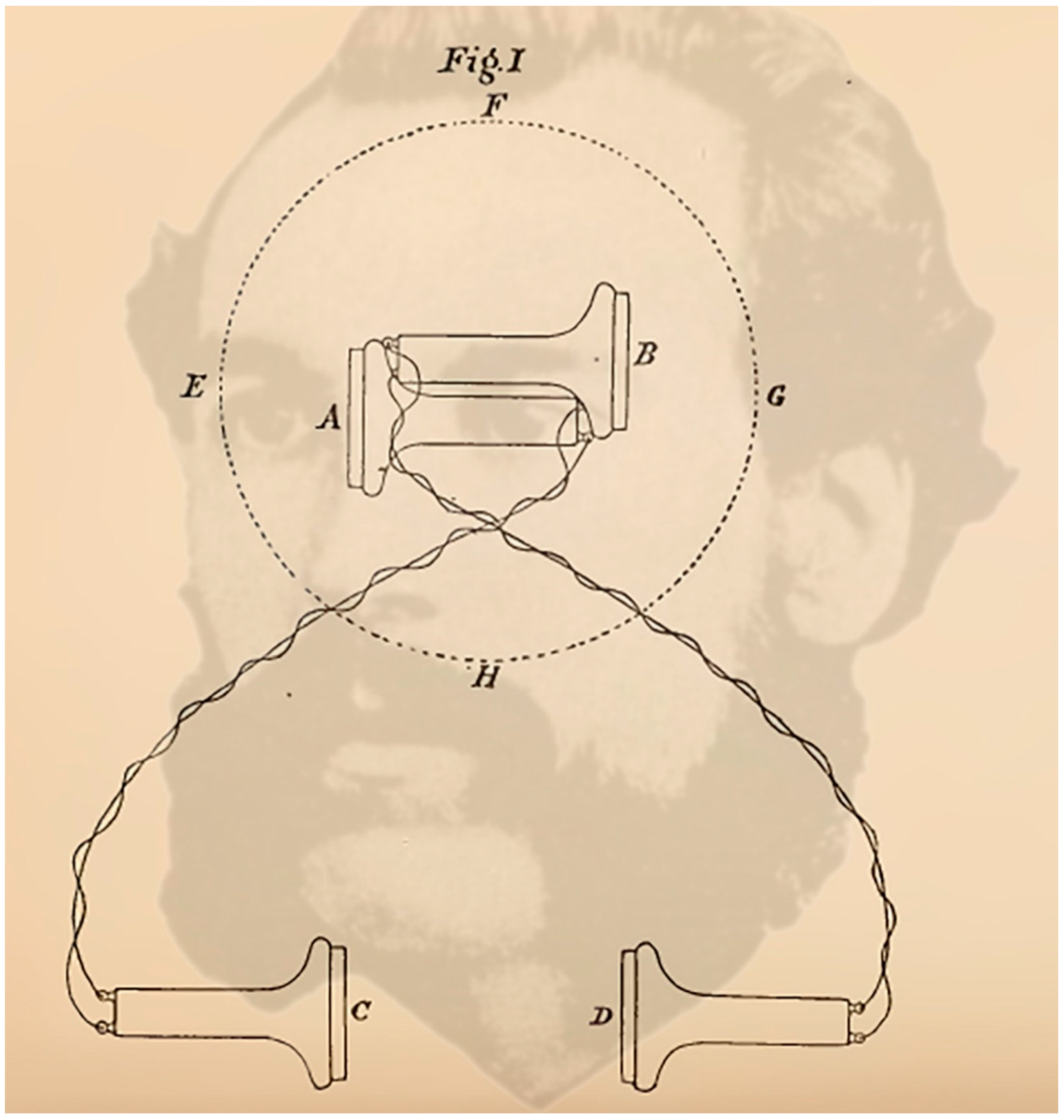Vision 02 00013 g010