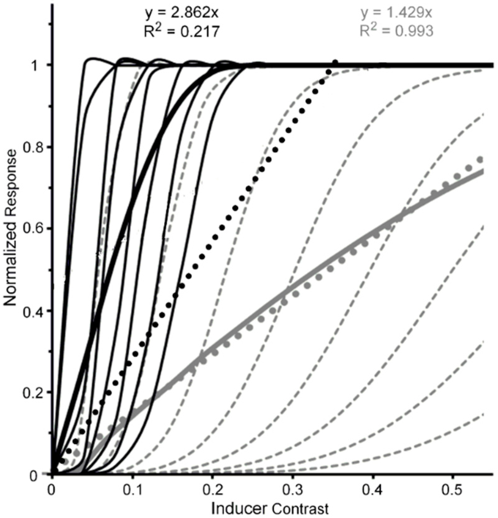 Vision 02 00014 g004 Vision 02 00014 g004