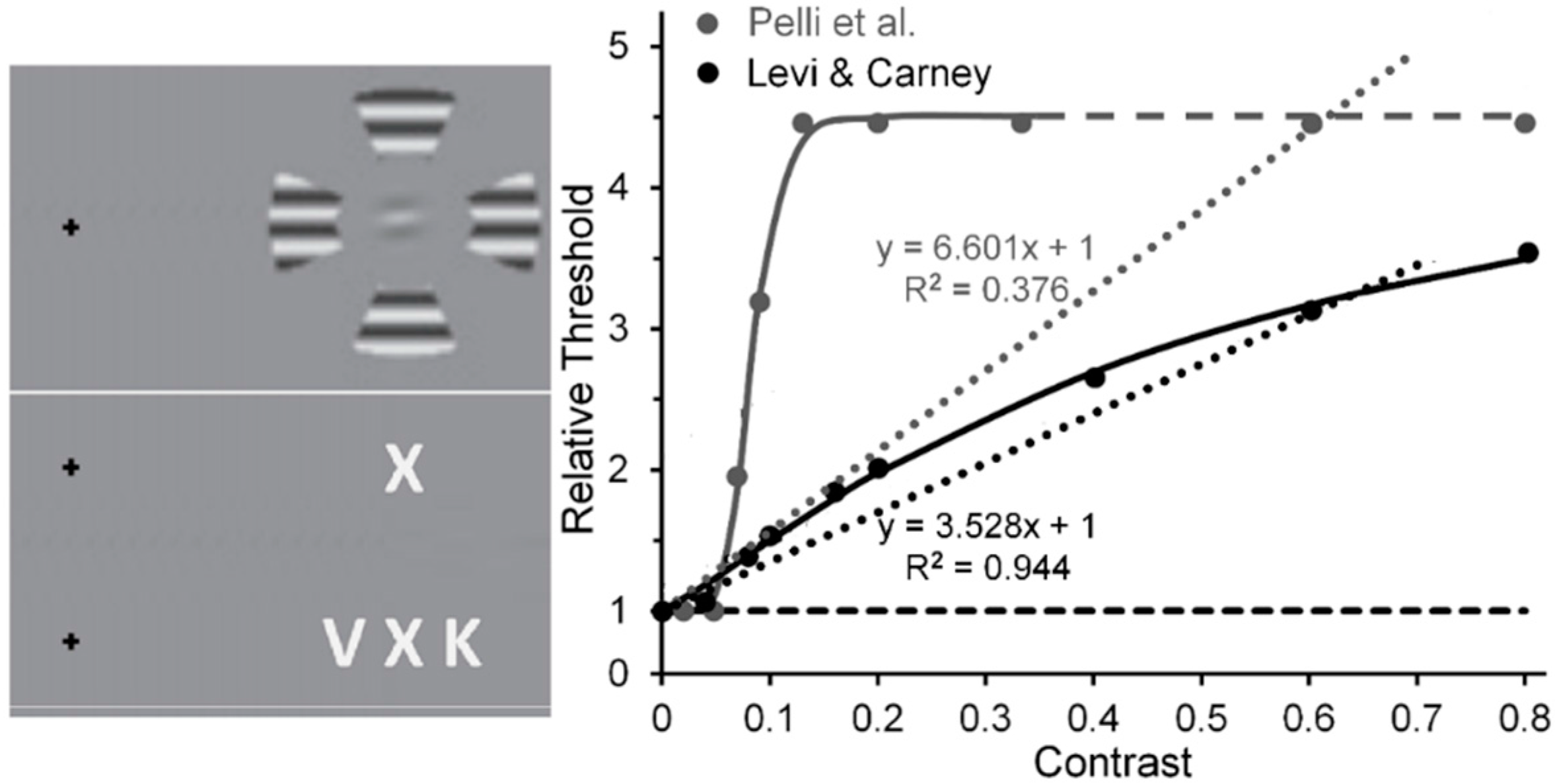 Vision 02 00014 g005 Vision 02 00014 g005