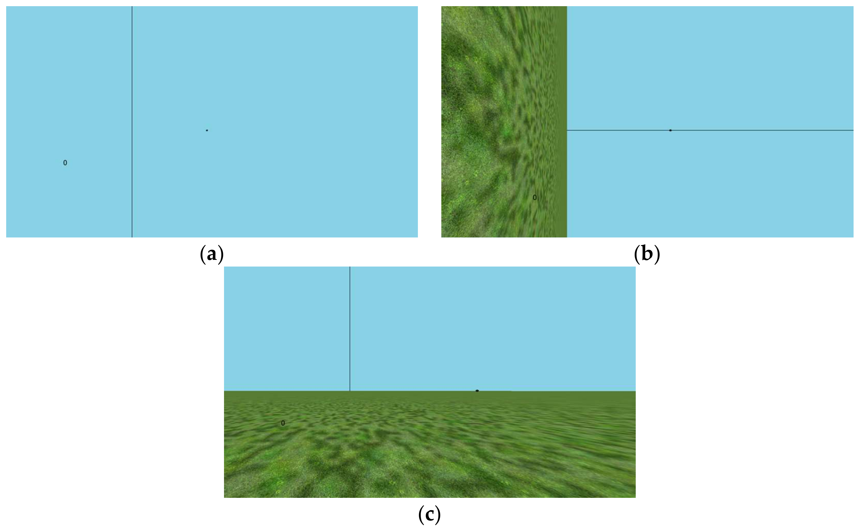 Vision 02 00017 g001