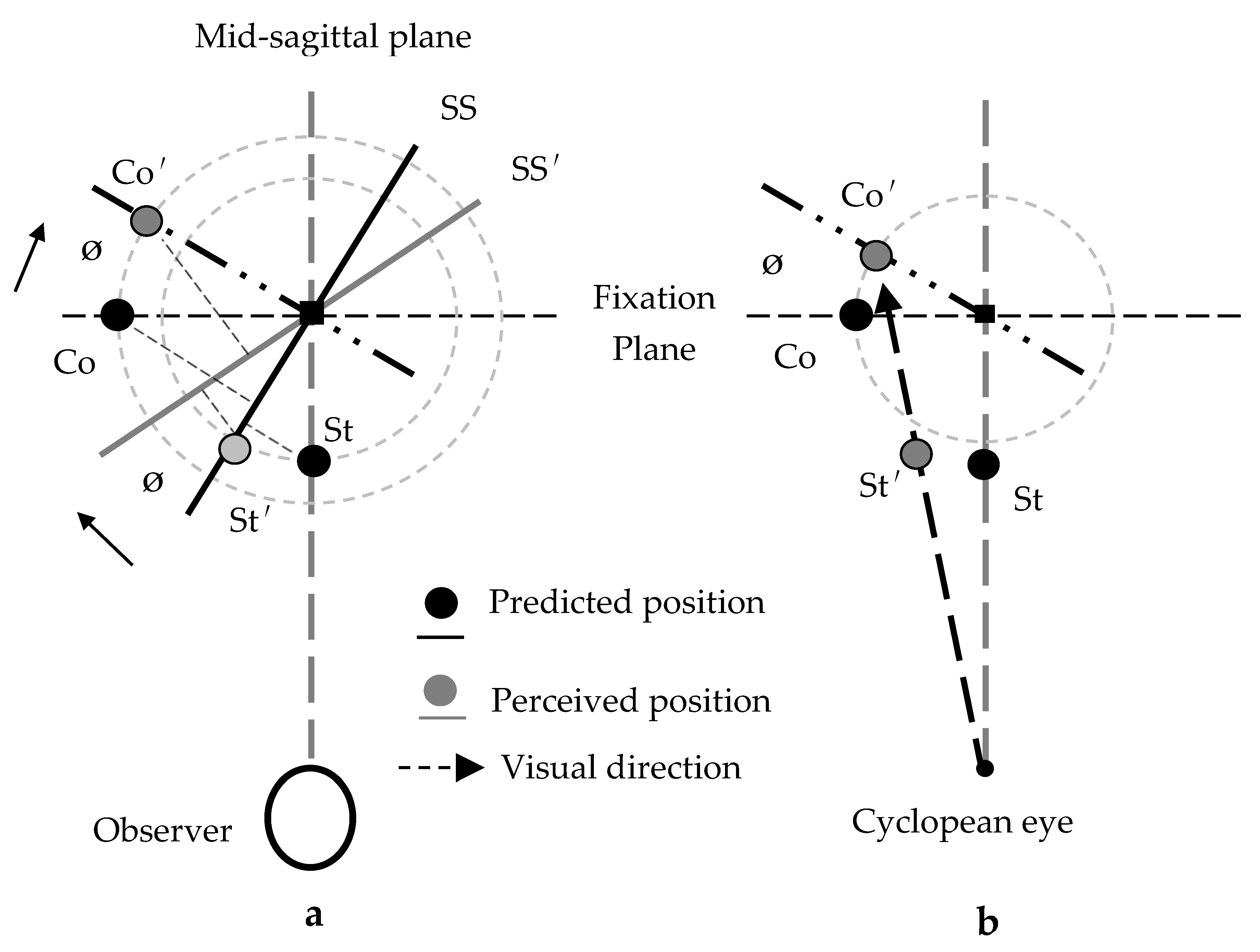 Vision 02 00020 g003 Vision 02 00020 g003