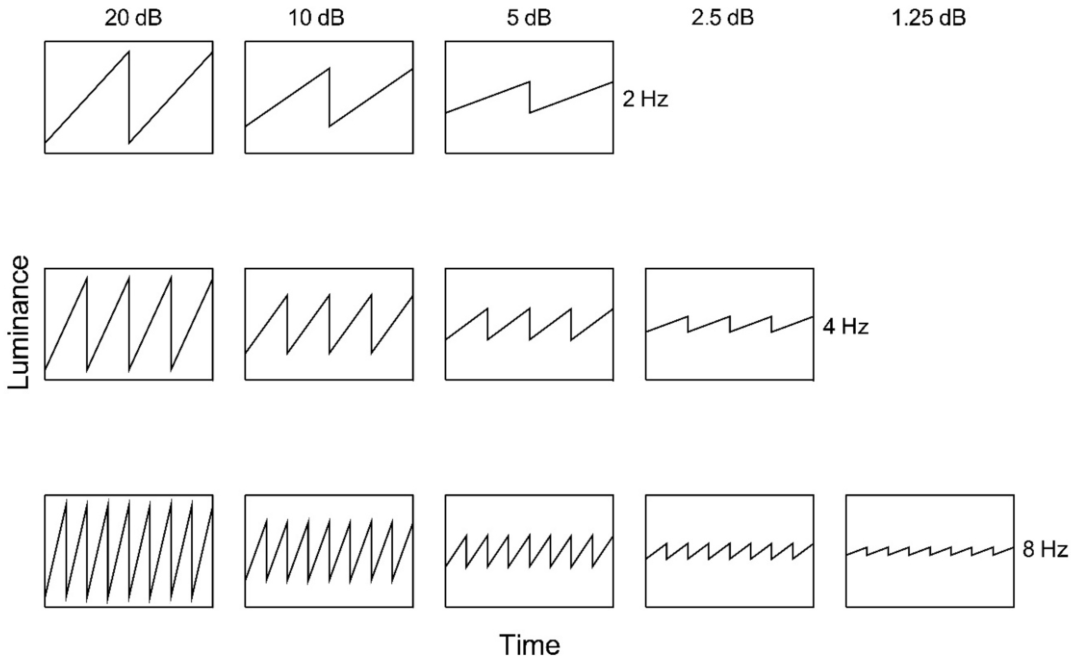 Vision 02 00024 g002