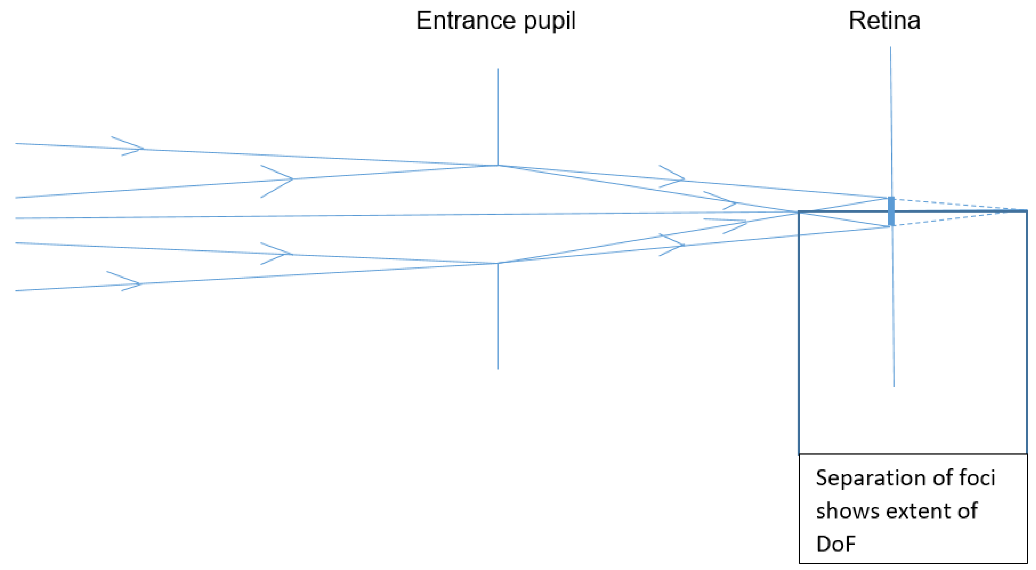 Vision 02 00037 g001