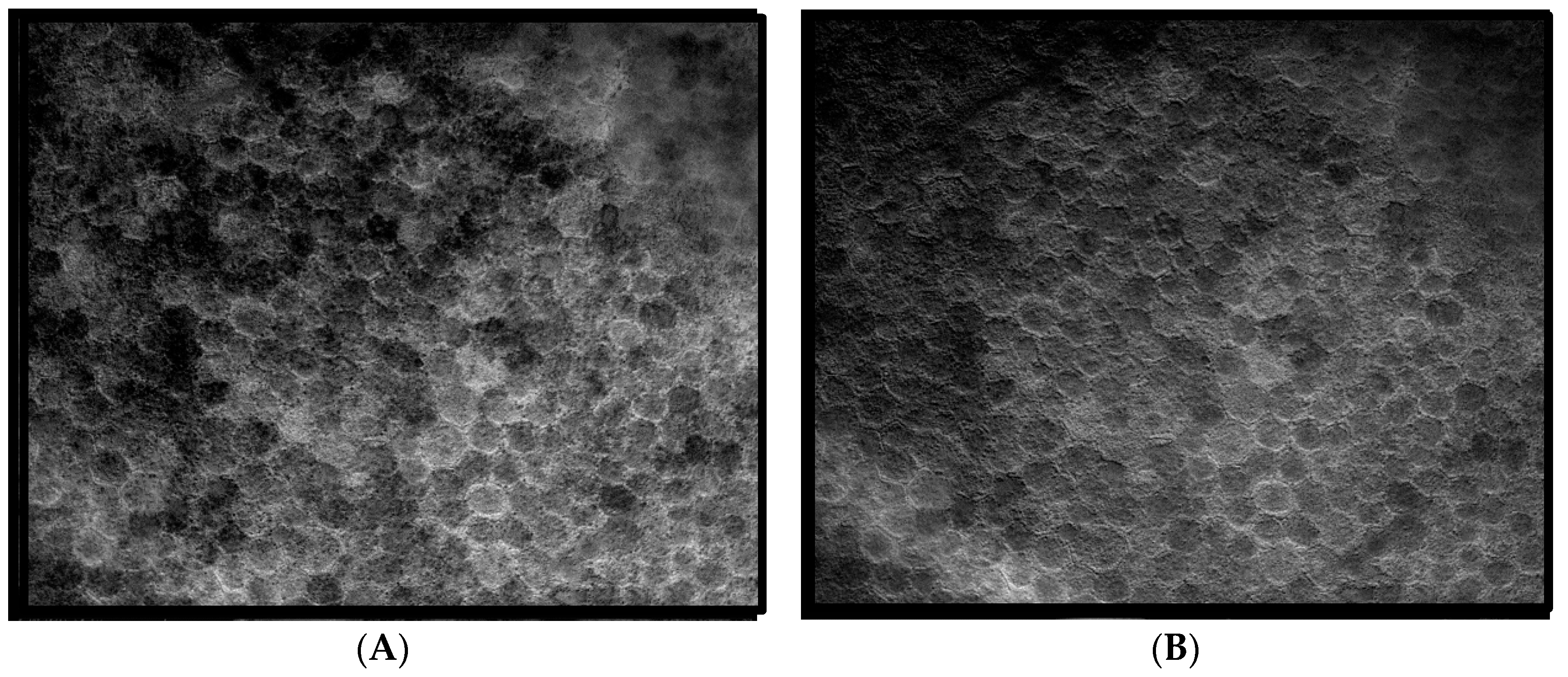 Vision 02 00038 g003a