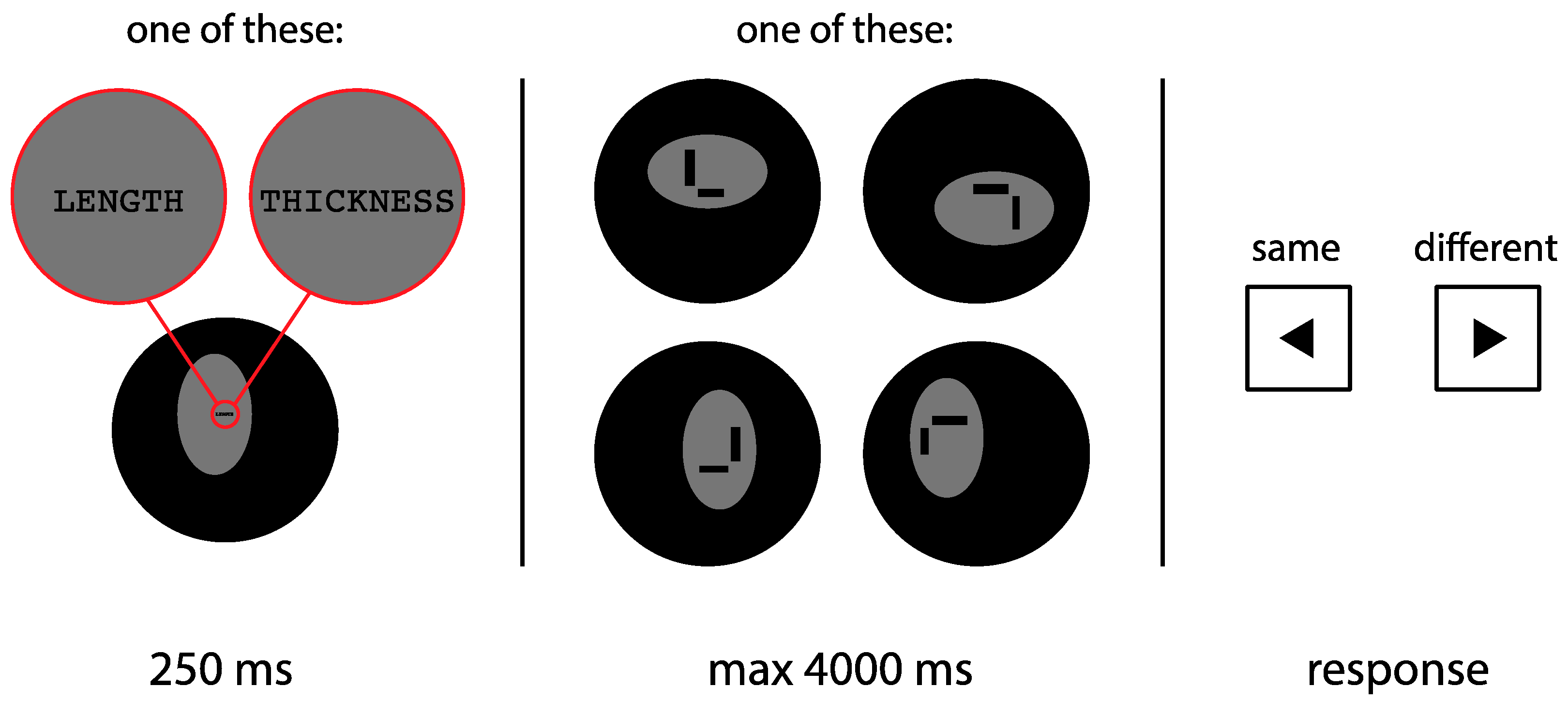 Vision 03 00001 g004