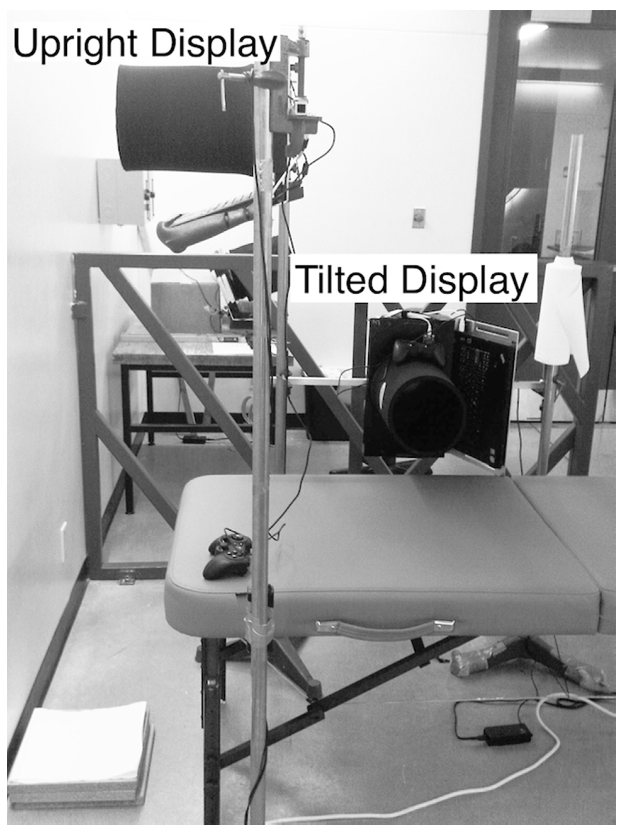 Vision 03 00013 g001 Vision 03 00013 g001