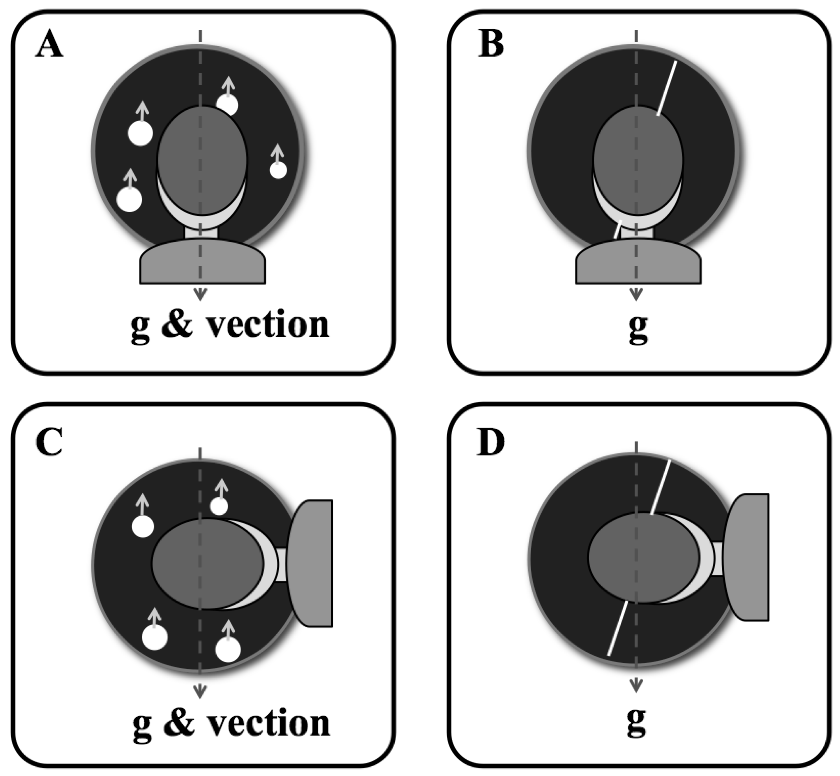 Vision 03 00013 g003 Vision 03 00013 g003