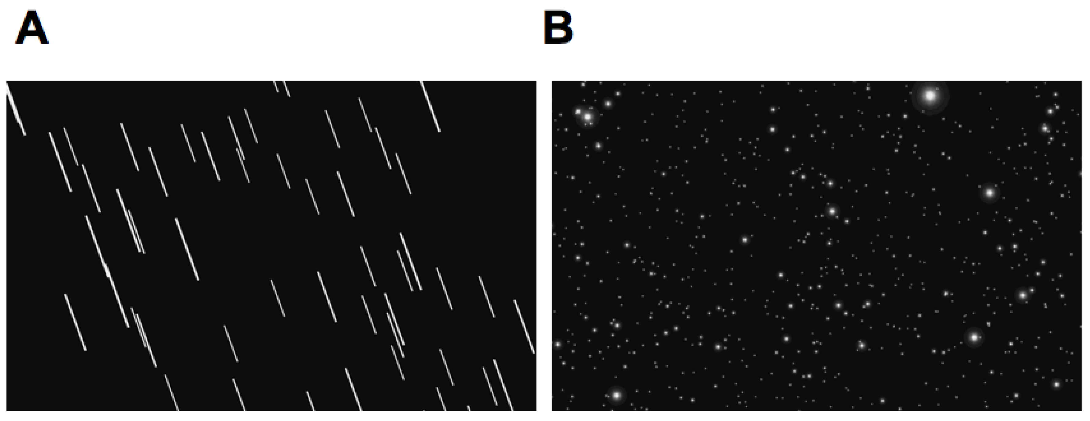 Vision 03 00013 g006 Vision 03 00013 g006