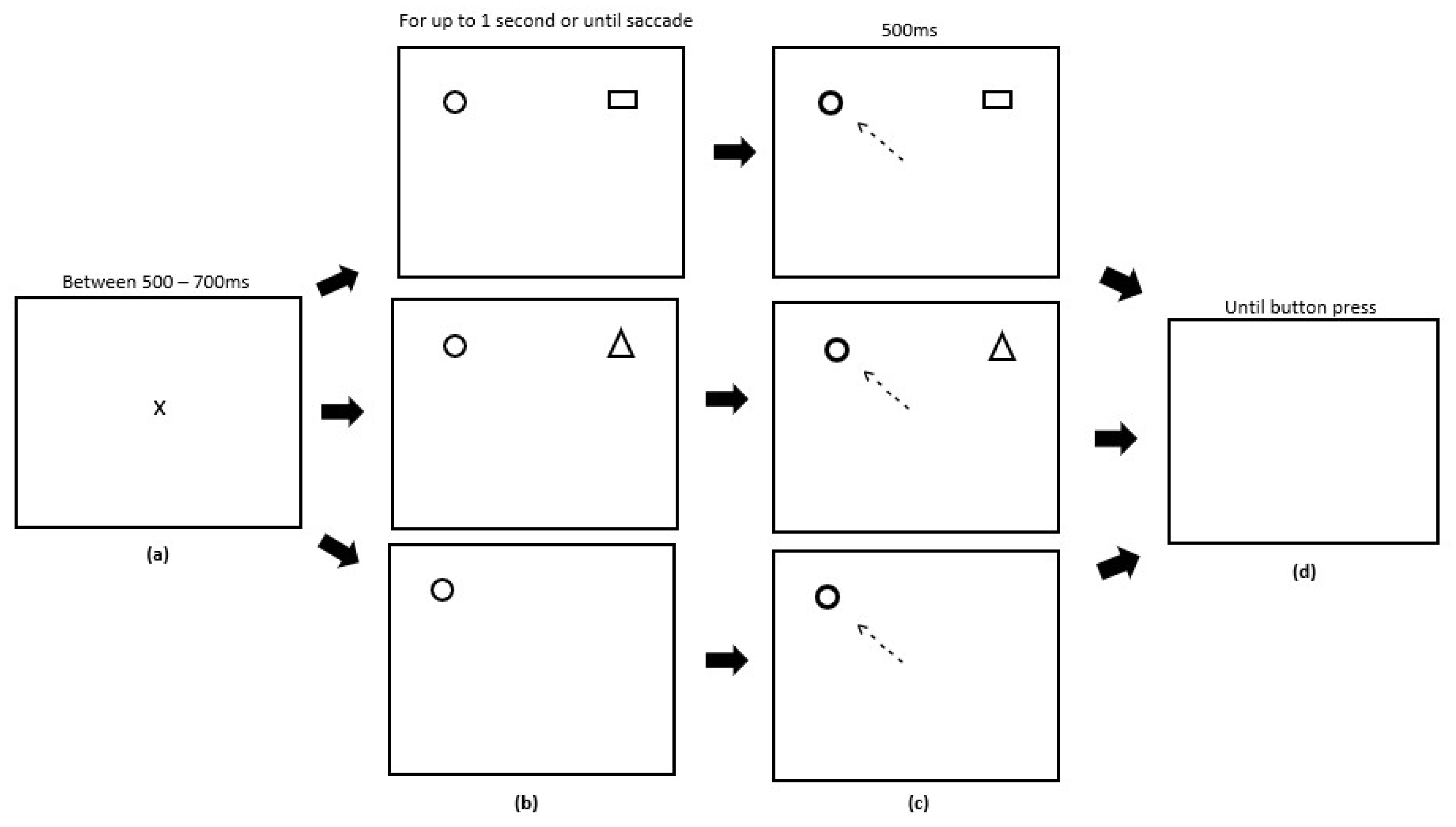 Vision 03 00020 g003 Vision 03 00020 g003
