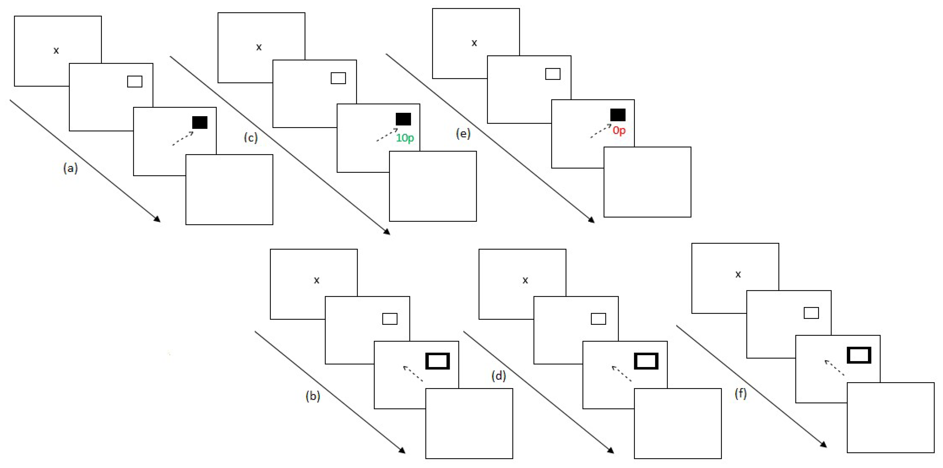 Vision 03 00020 g004 Vision 03 00020 g004