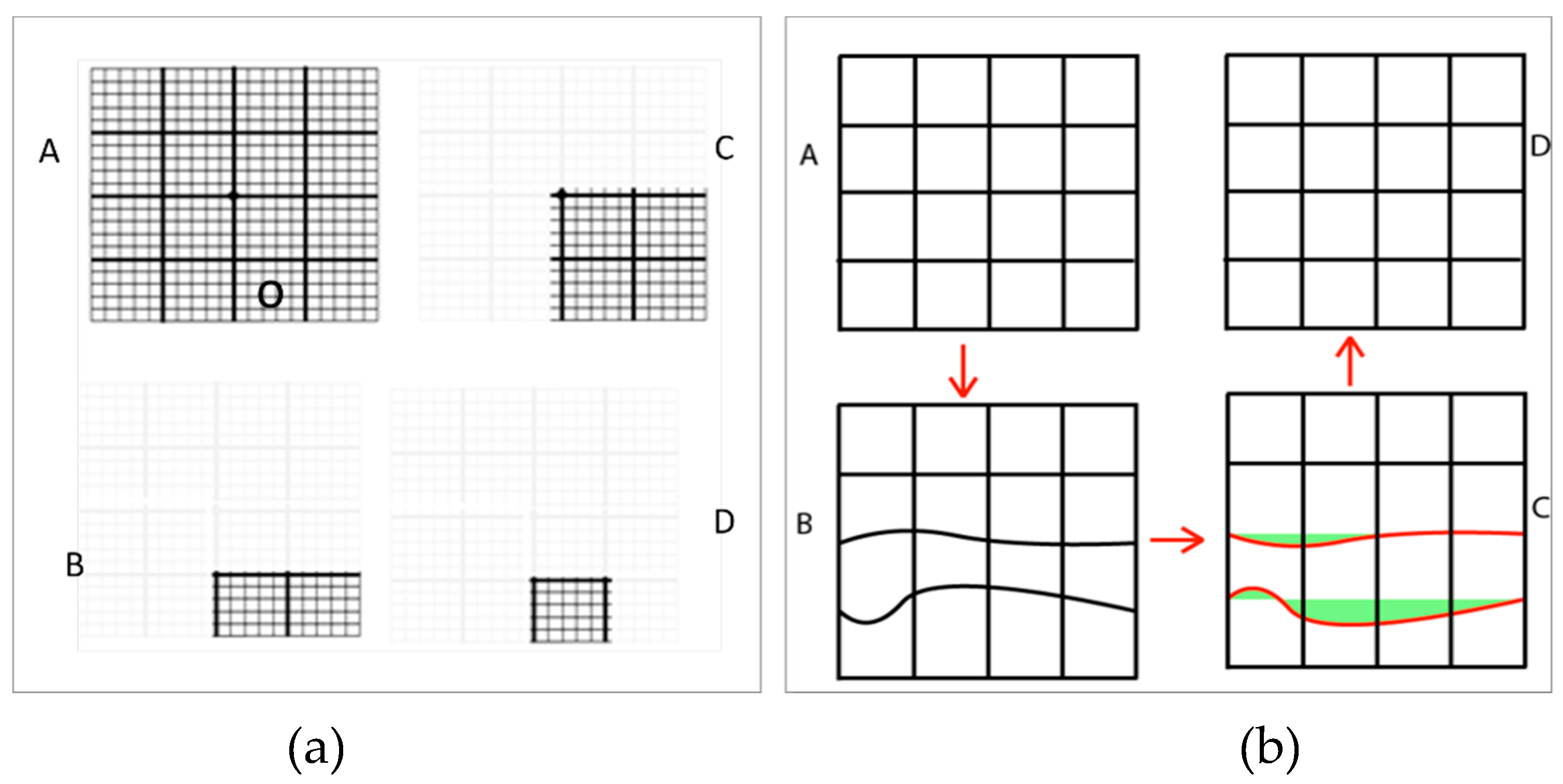 Amsler Chart Working Distance