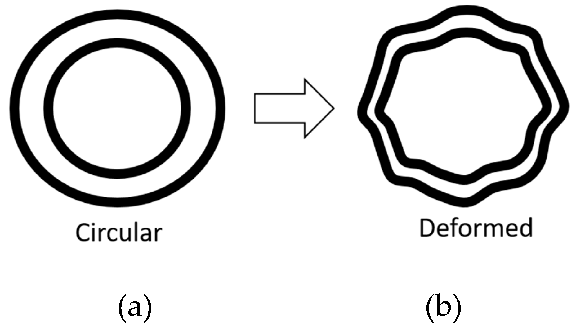 Vision 03 00025 g009 Vision 03 00025 g009