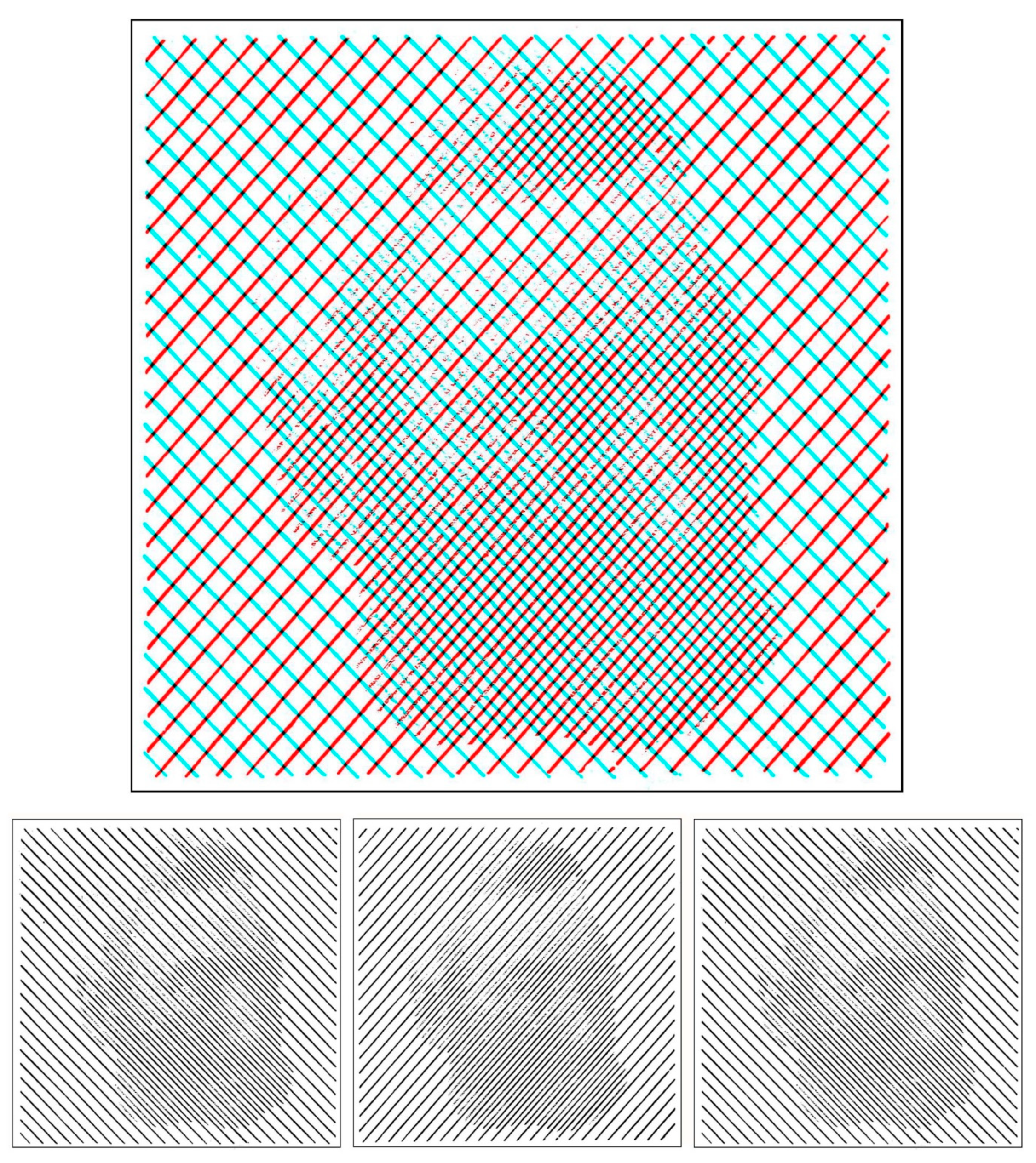 Vision 03 00026 g003