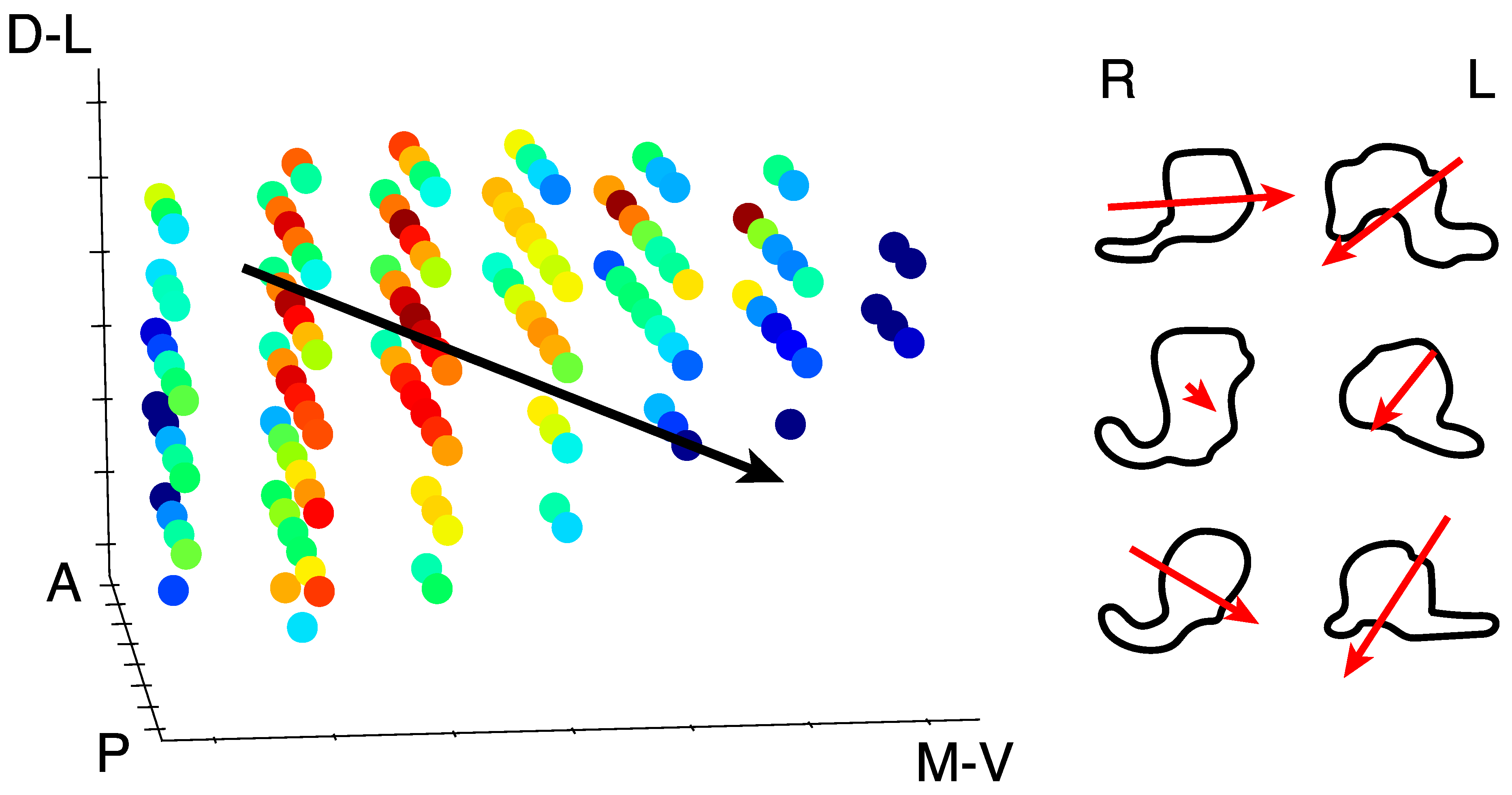 Vision 03 00027 g005 Vision 03 00027 g005