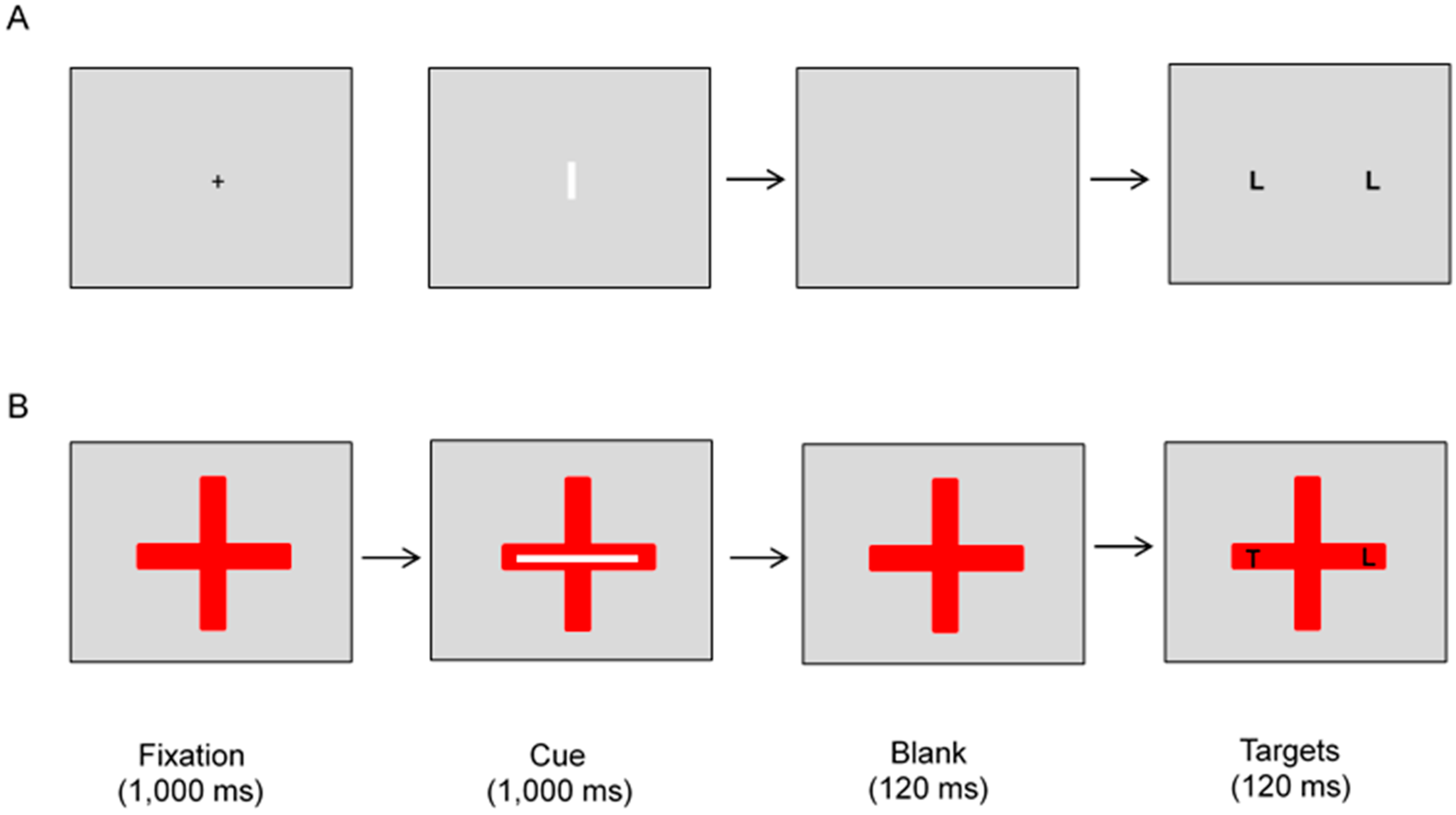 Vision 03 00030 g001