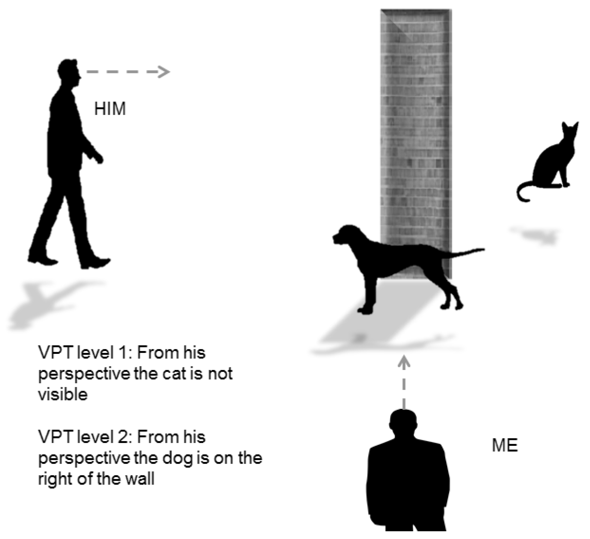 Vision 03 00052 g007