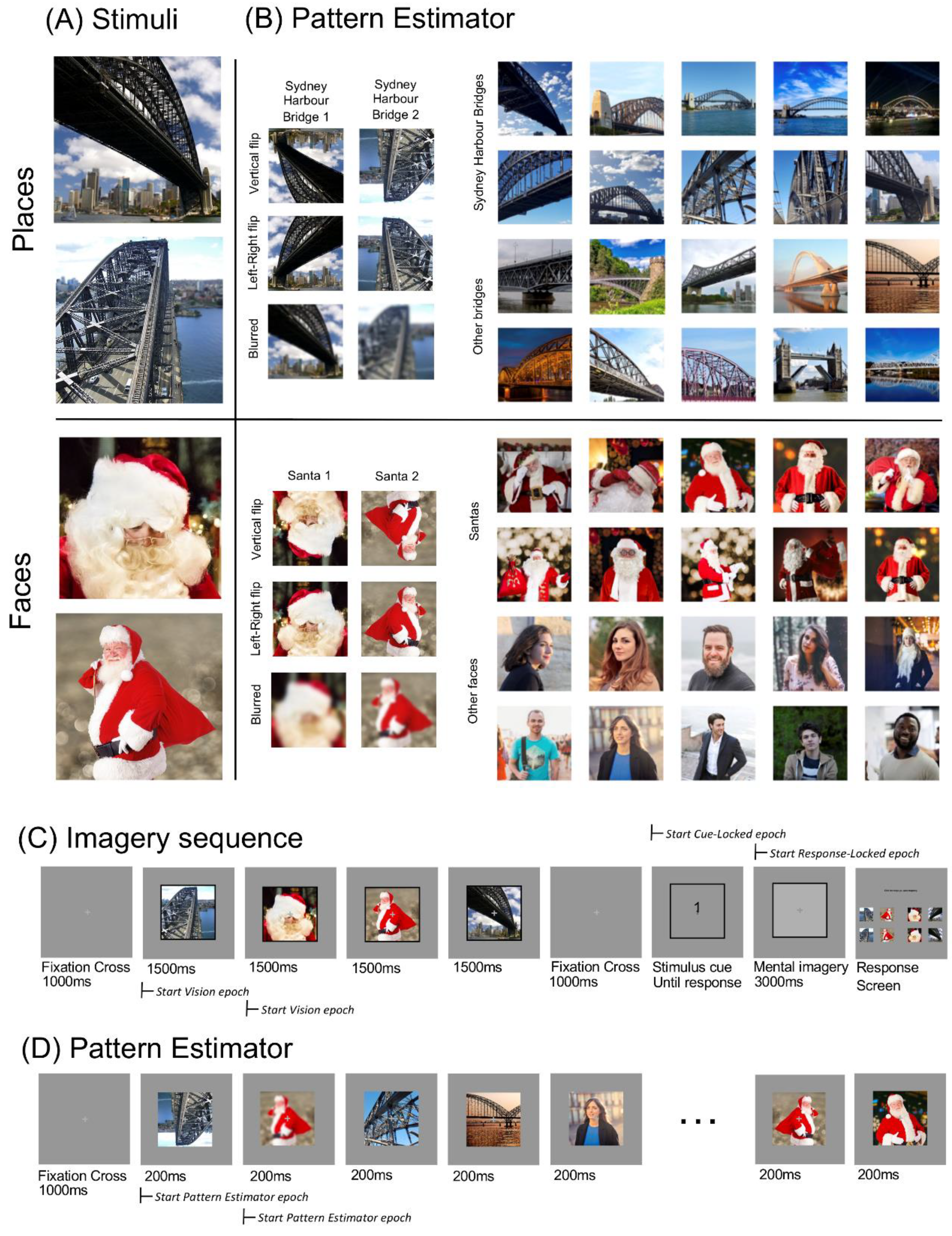 Vision 03 00053 g001 Vision 03 00053 g001