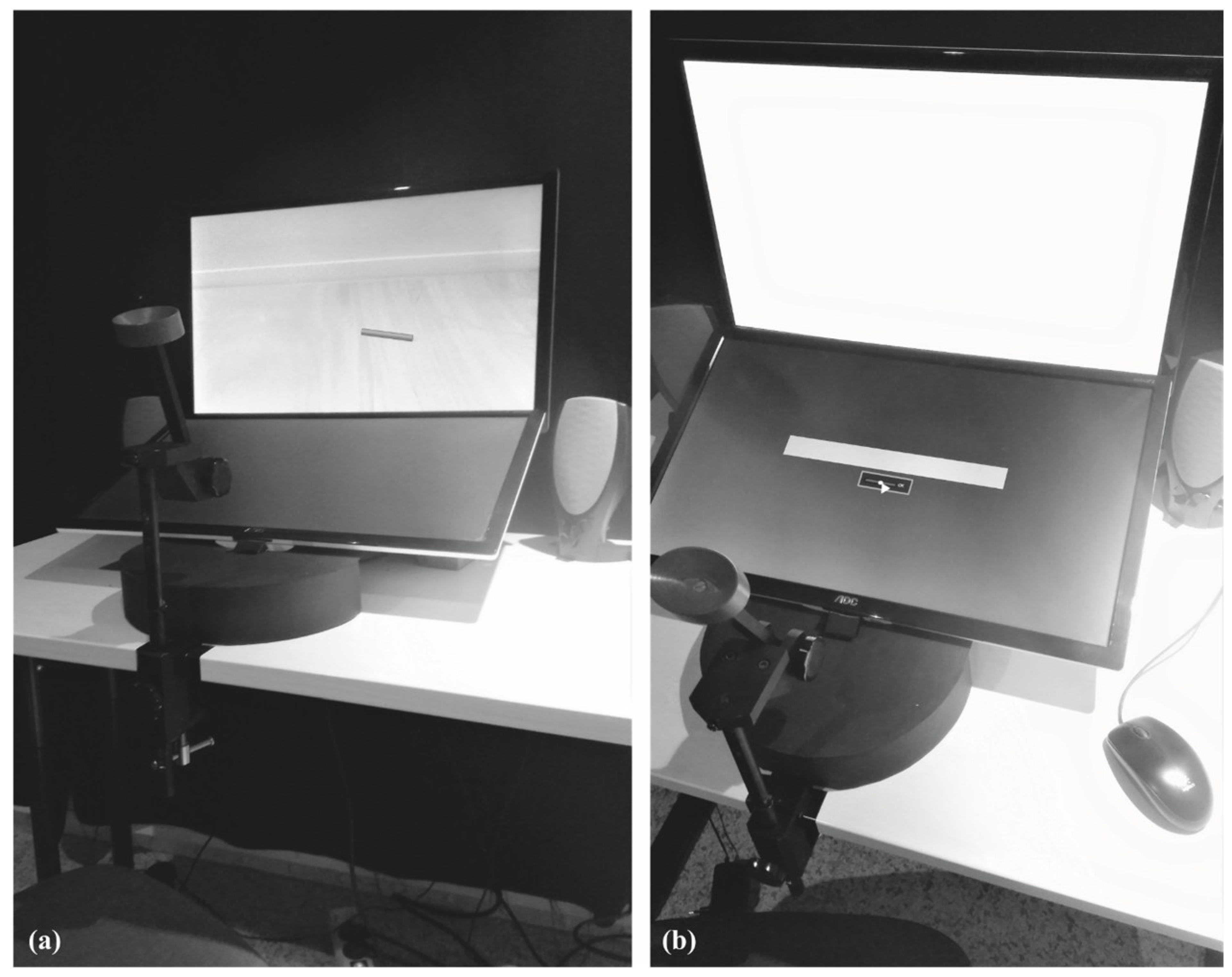 Vision 03 00057 g001