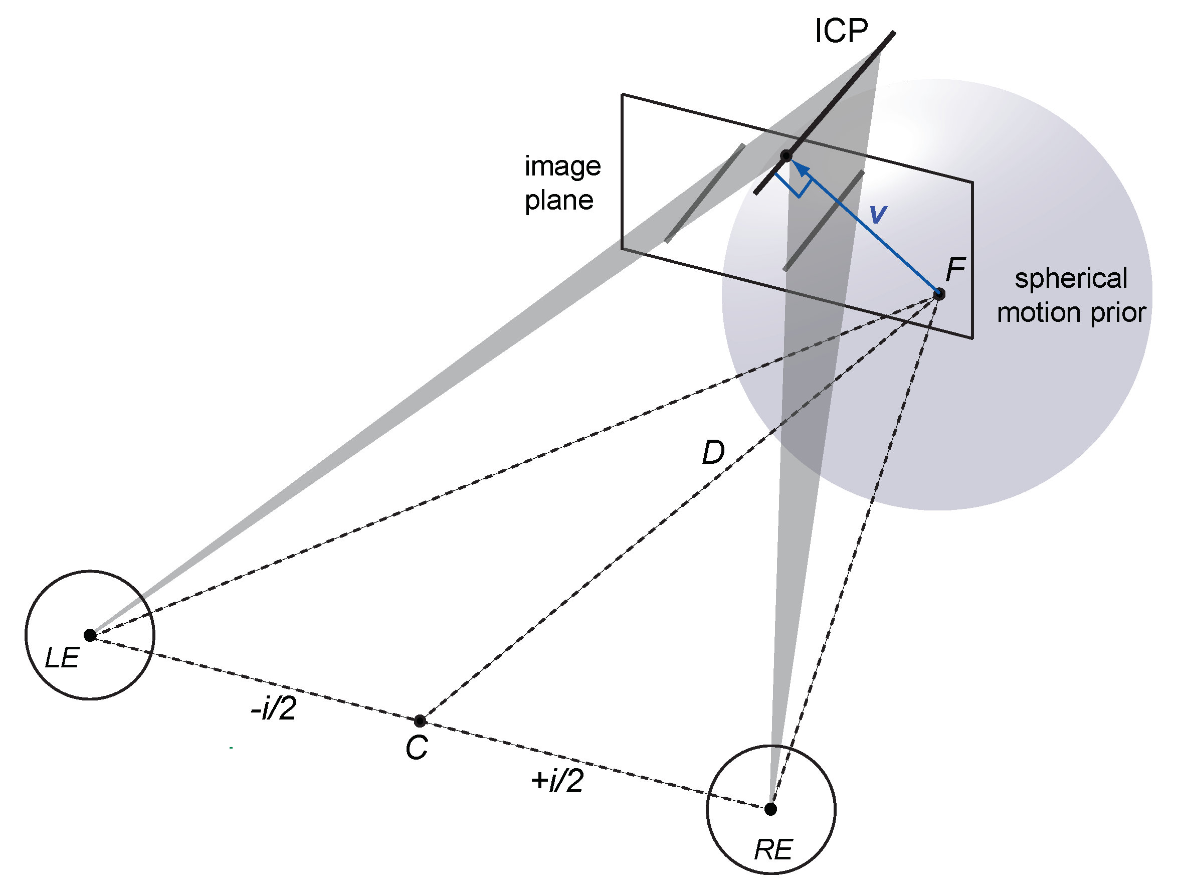 Vision 03 00064 g002 Vision 03 00064 g002