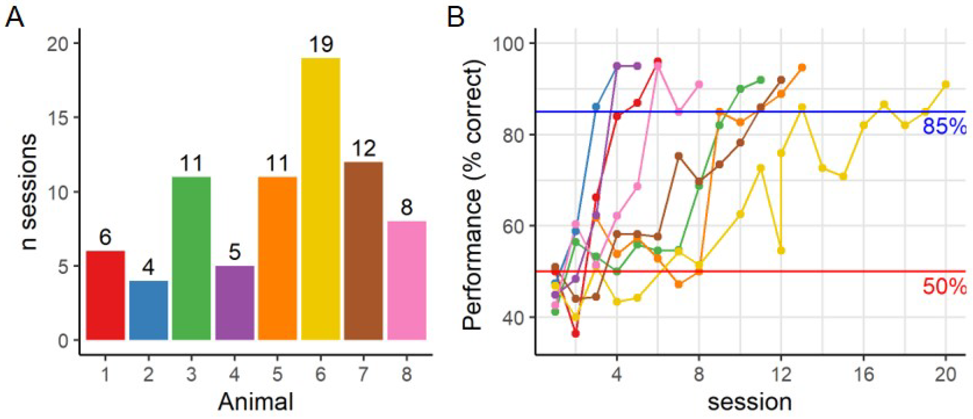 Vision 04 00004 g002