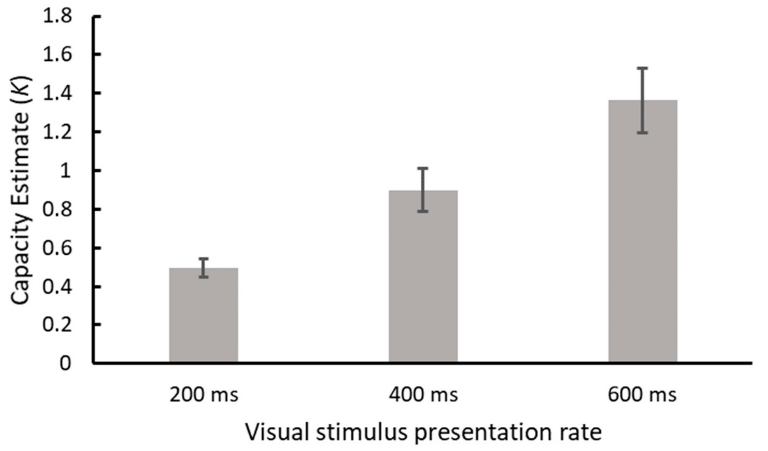 Vision 04 00009 g002
