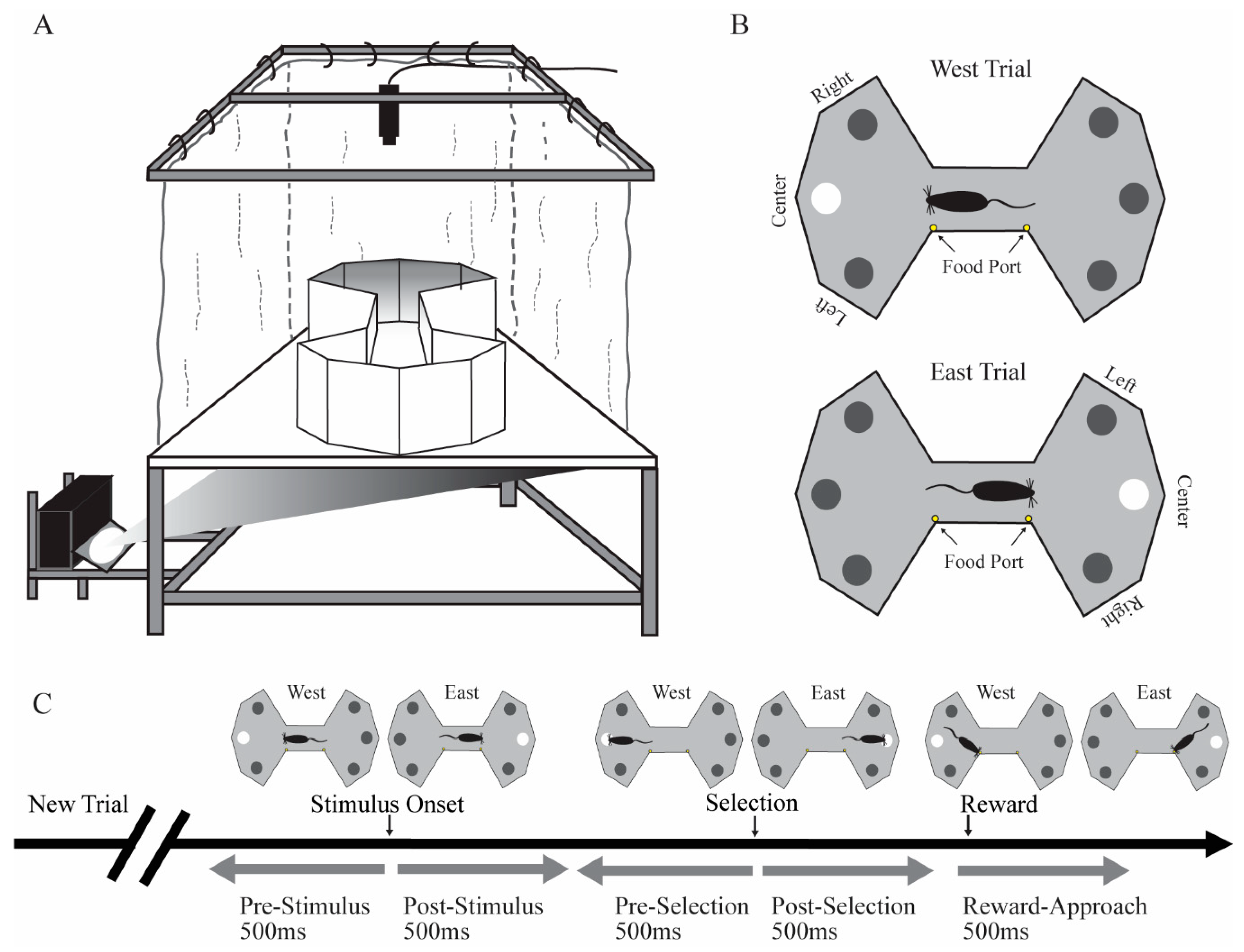 Vision 04 00015 g001