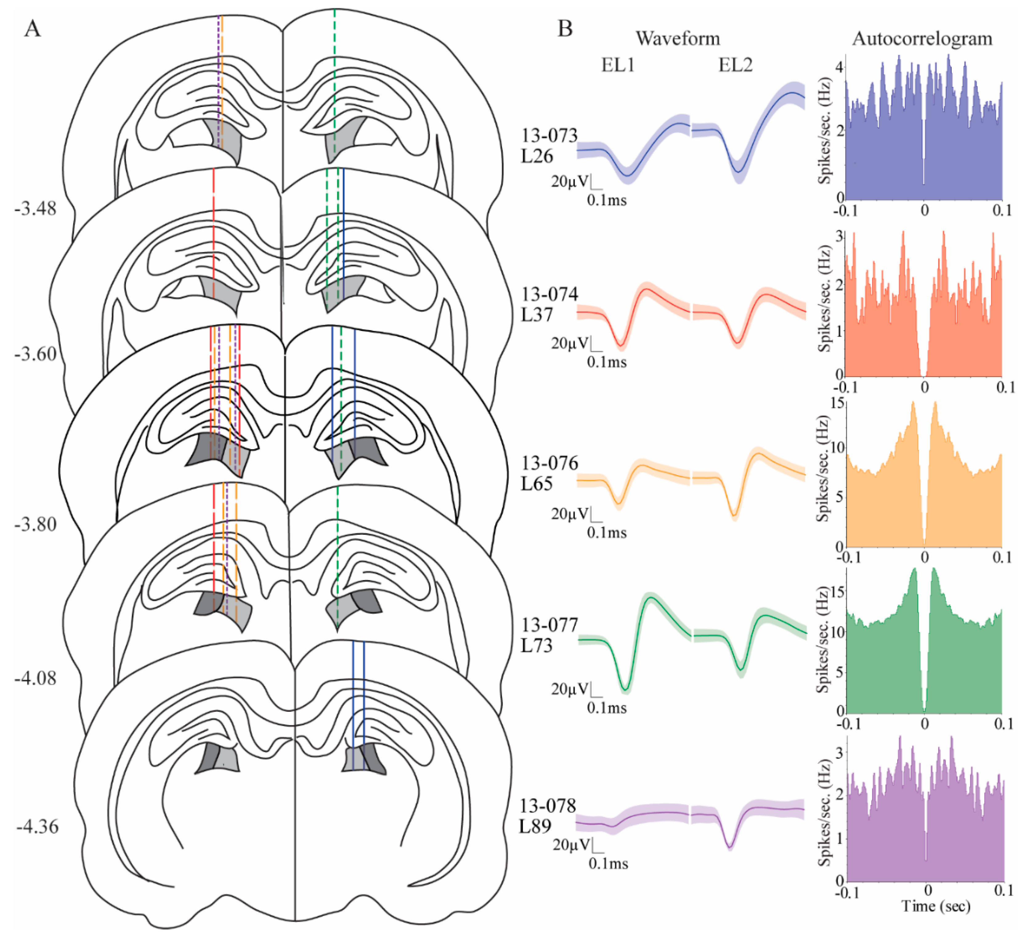 Vision 04 00015 g002